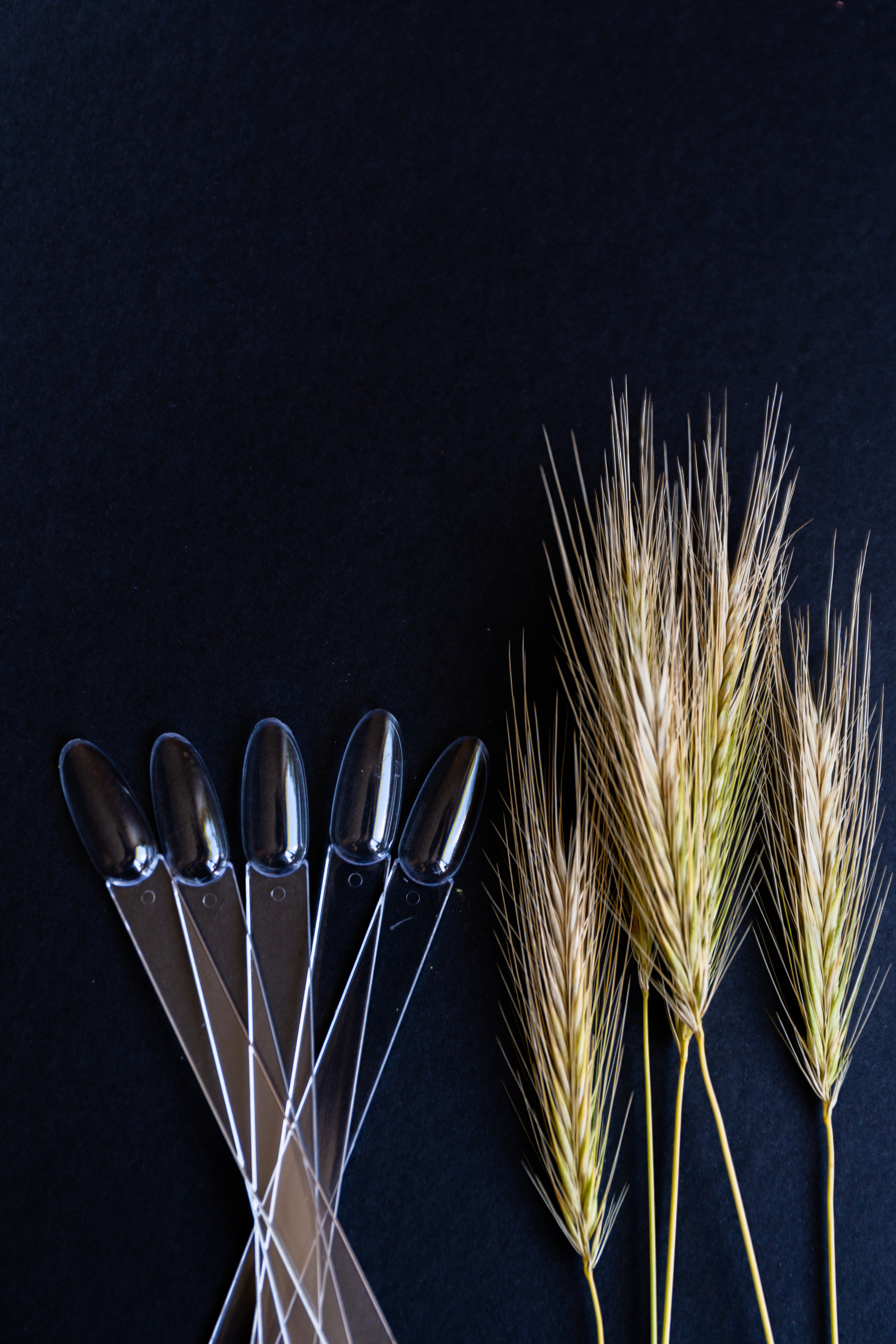 Power beauty. Photos by Vasilisa Popil