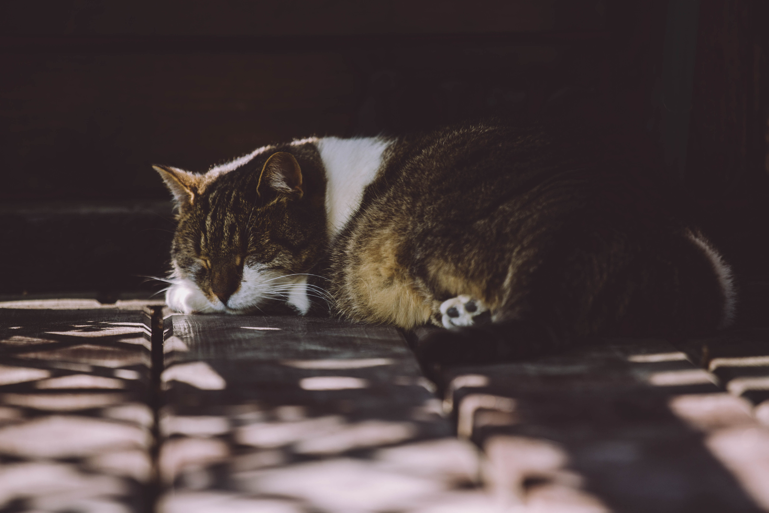 Moods. Photos by Vasilisa Popil