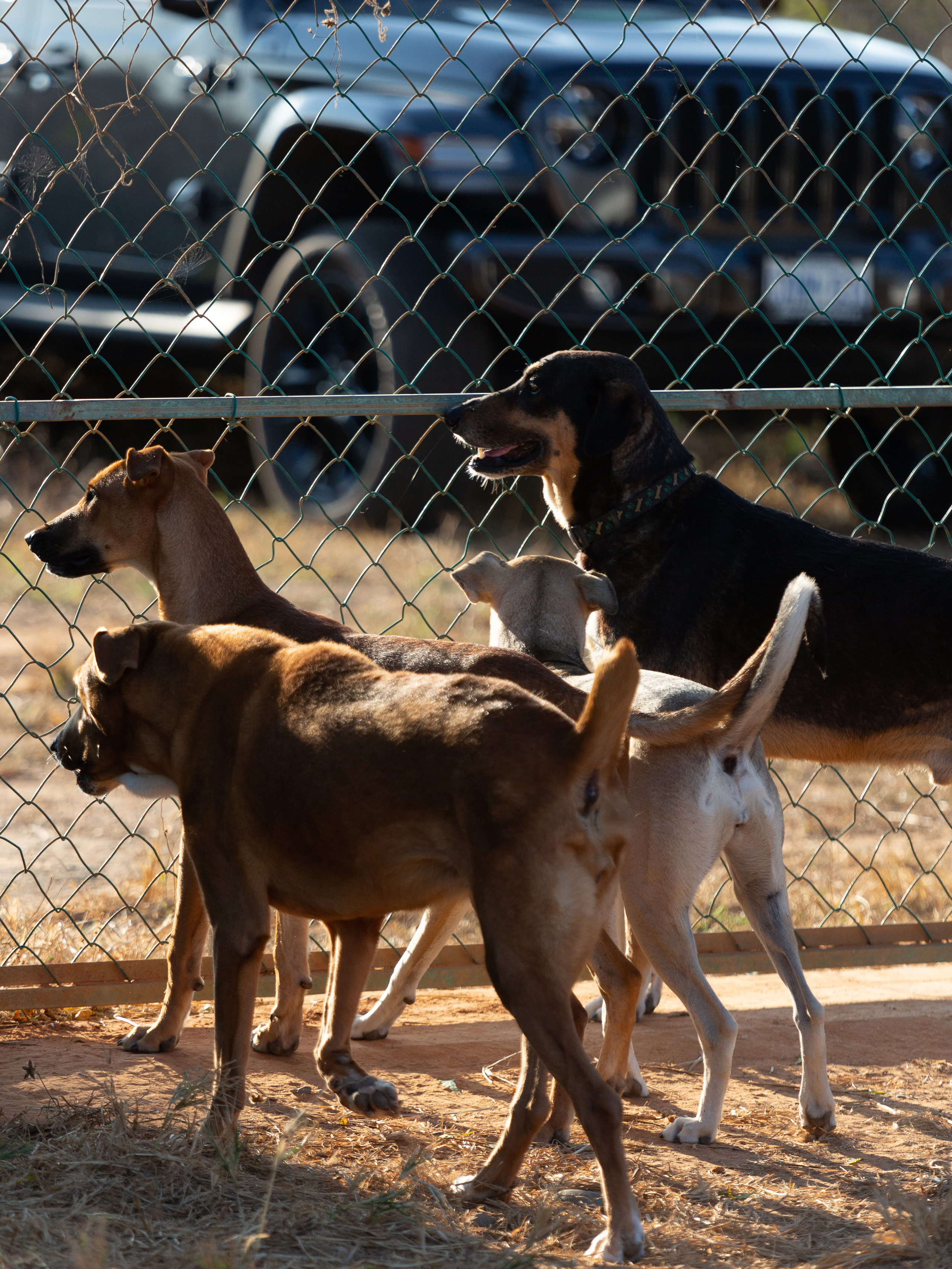 Bella Vida. Photos by Vasilisa Popil