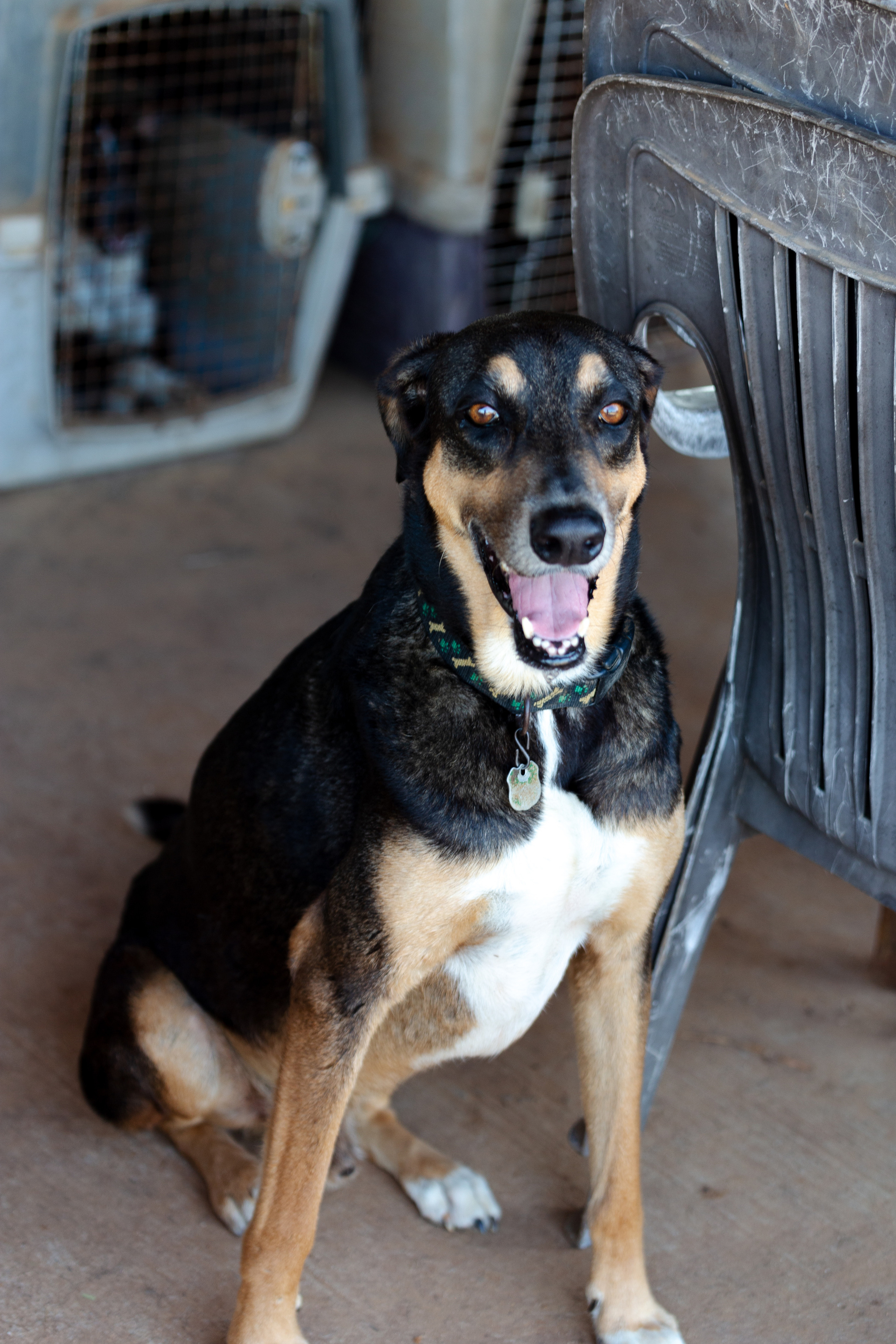 Bella Vida. Photos by Vasilisa Popil