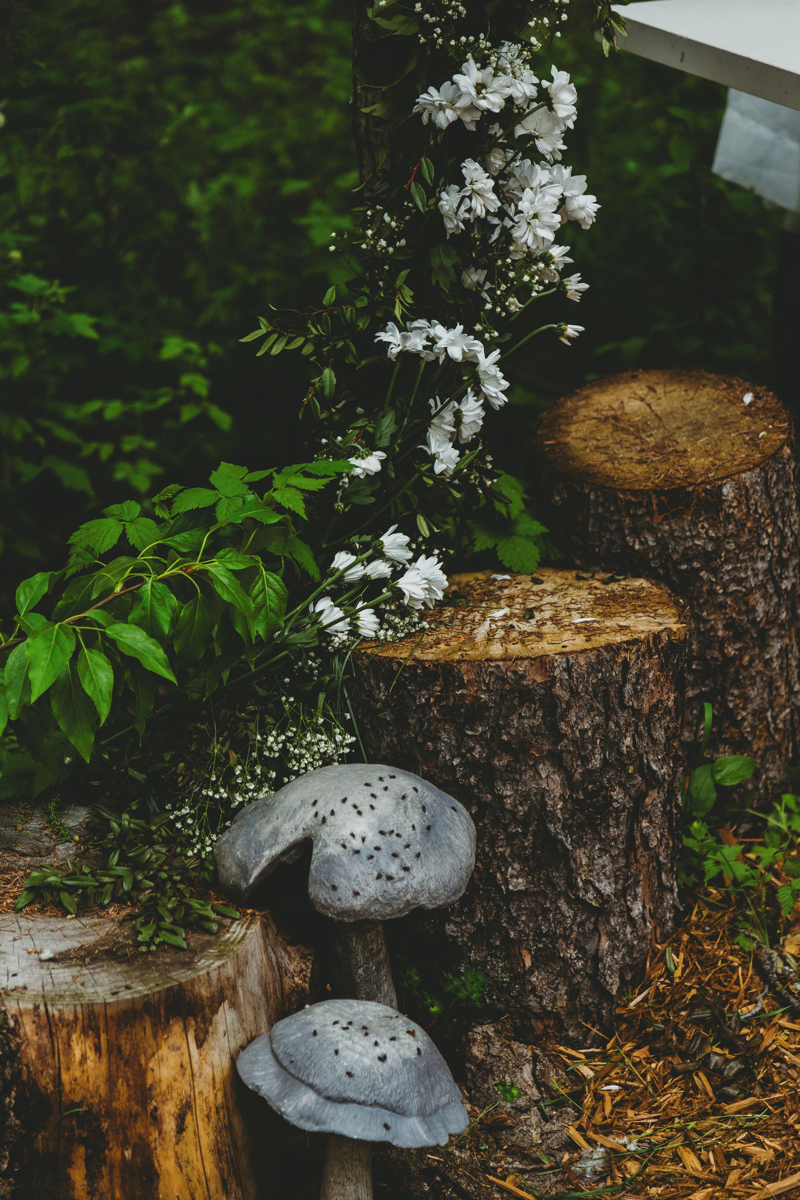 Wedding 2024. Photos by Vasilisa Popil