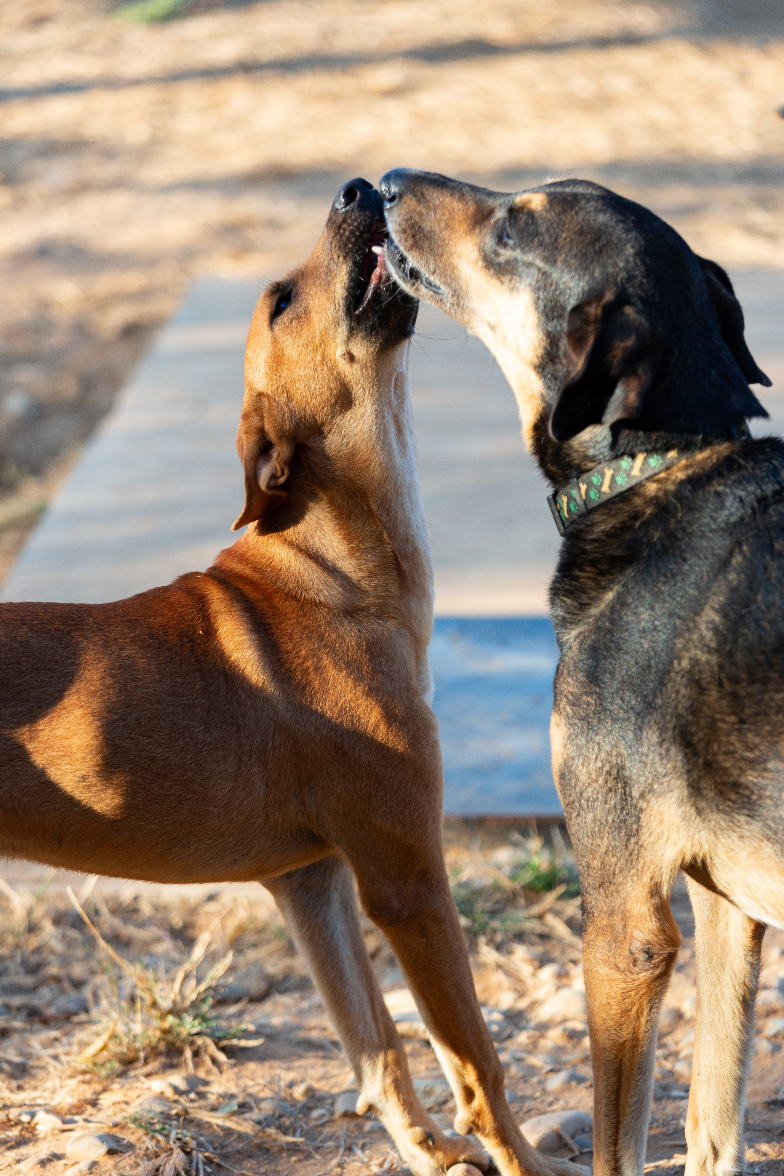 Bella Vida. Photos by Vasilisa Popil