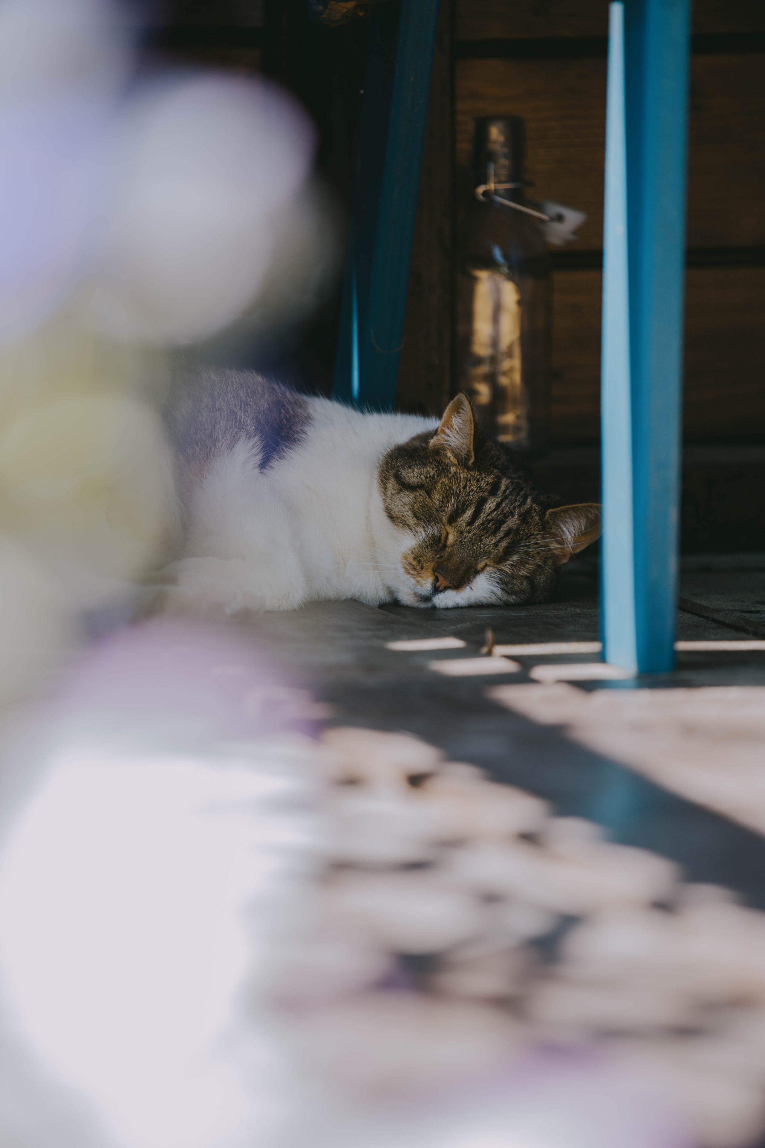 Moods. Photos by Vasilisa Popil