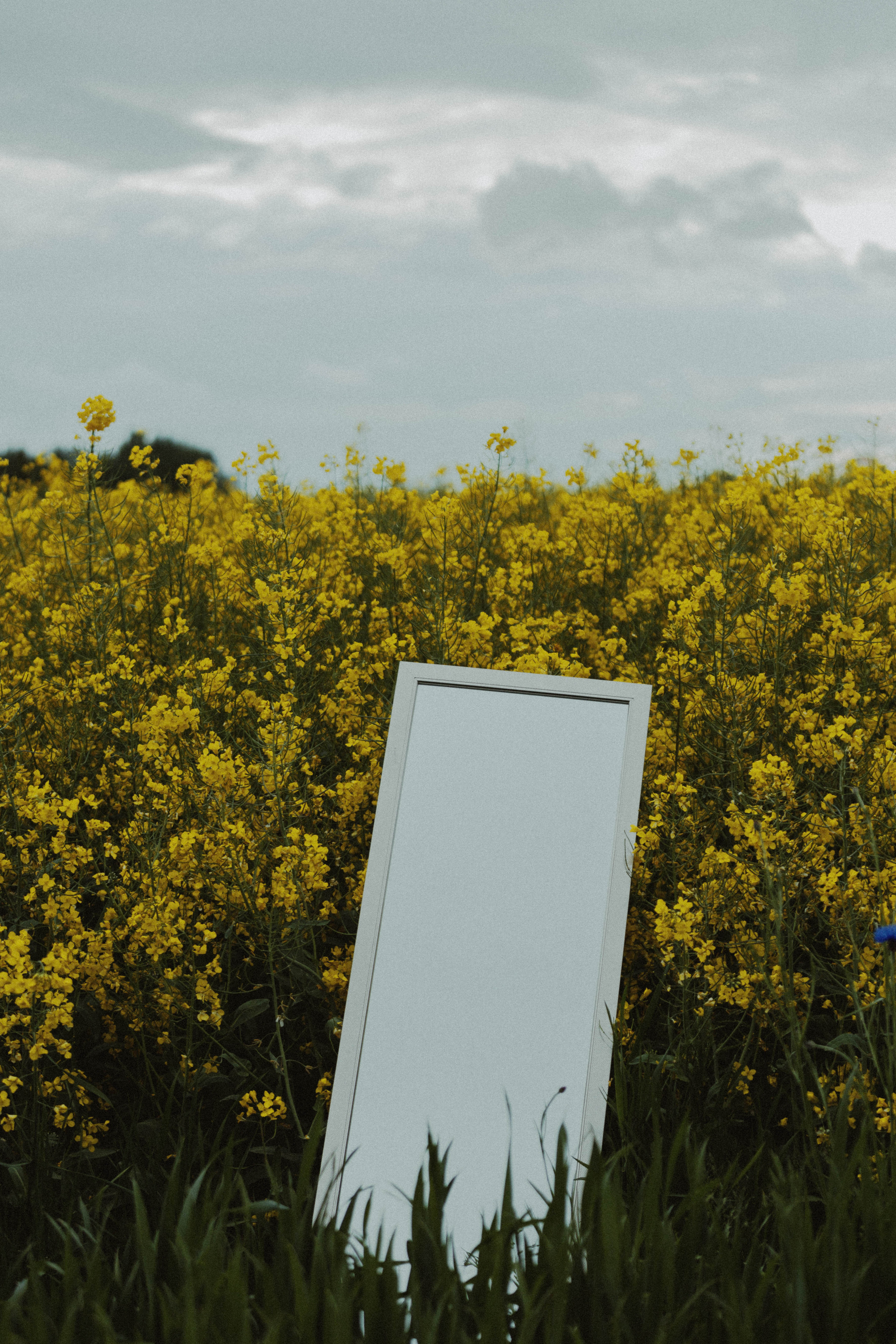 Julia/2022. Photos by Vasilisa Popil