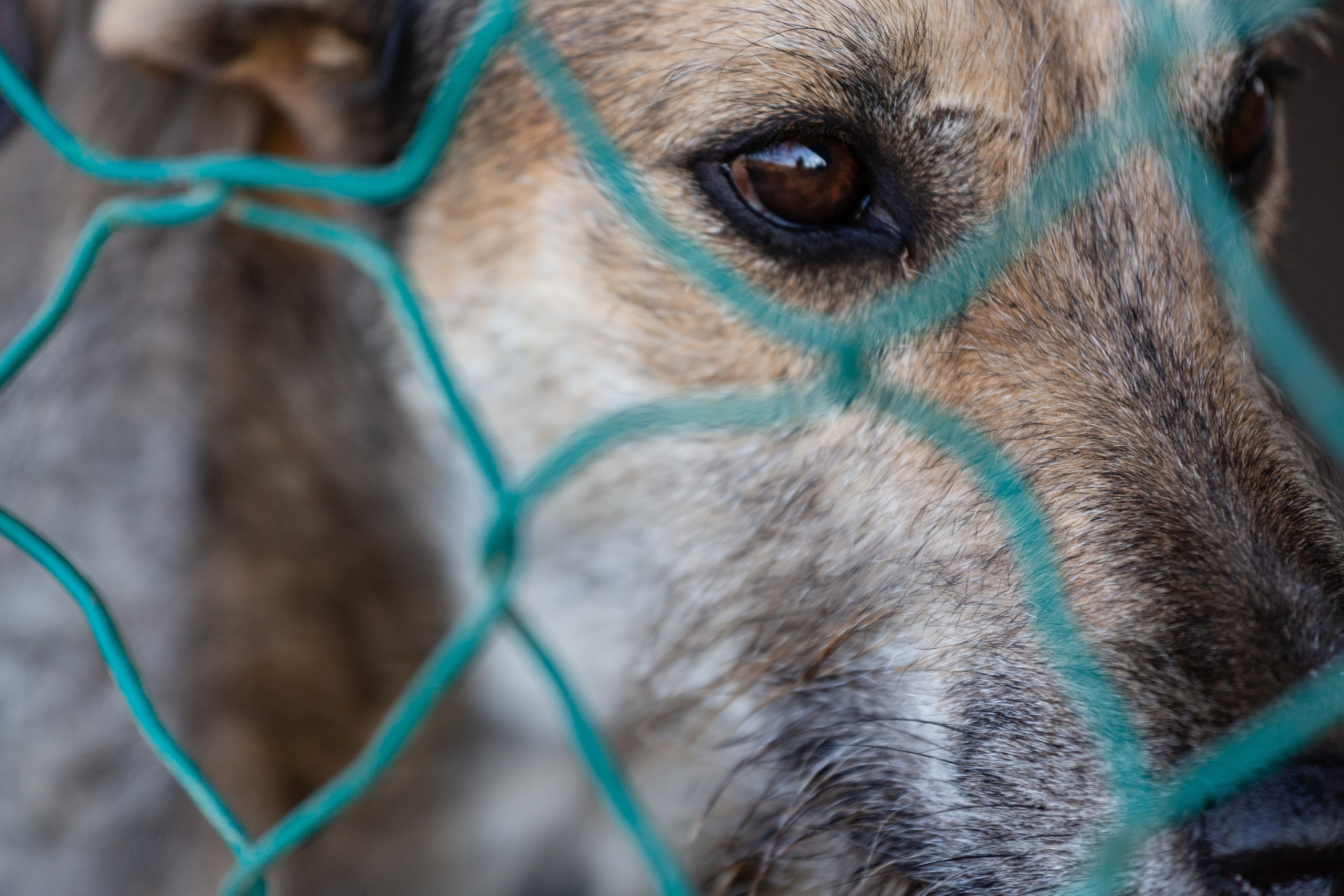 Bella Vida. Photos by Vasilisa Popil