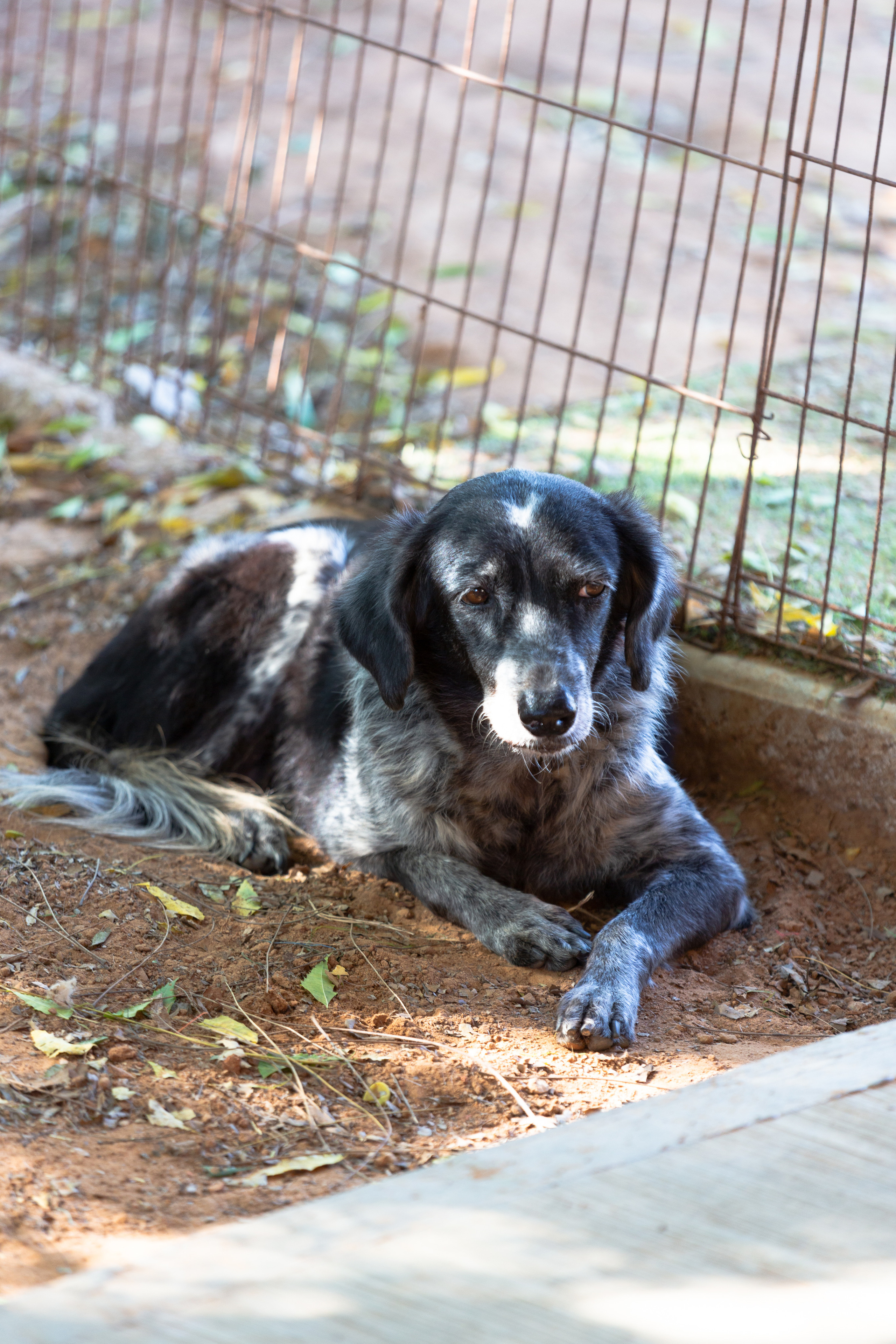 Bella Vida. Photos by Vasilisa Popil