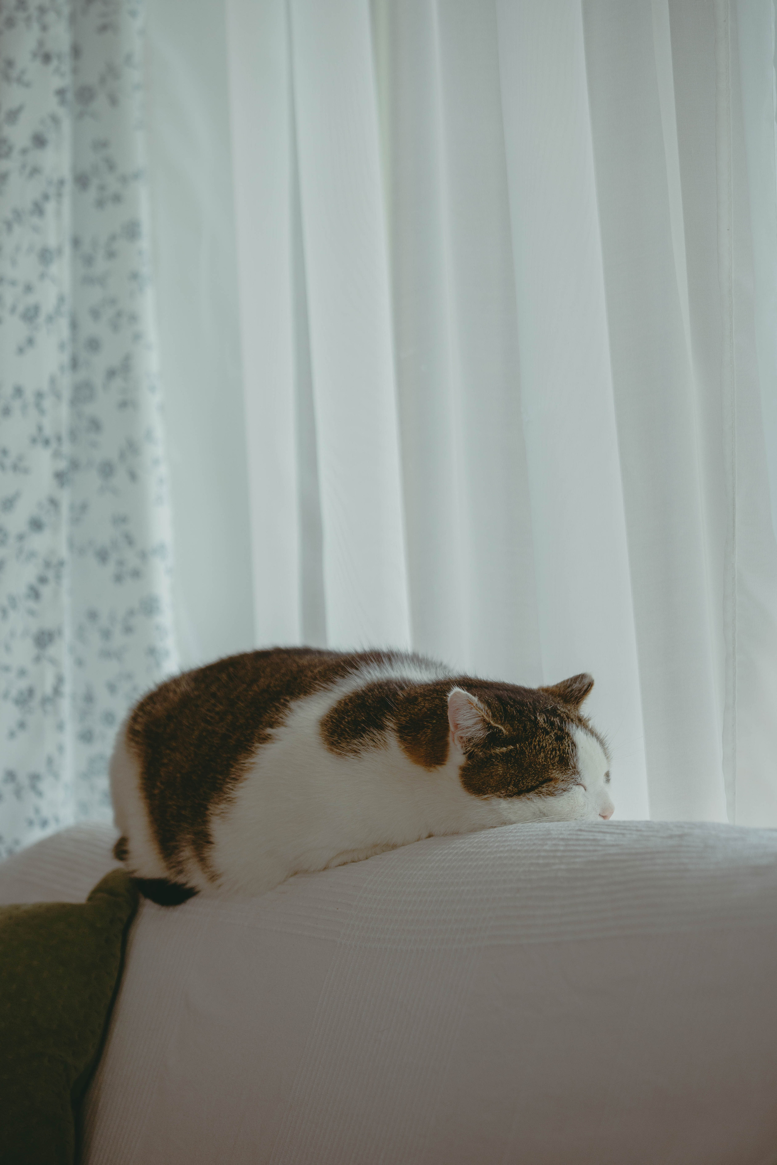 Moods. Photos by Vasilisa Popil