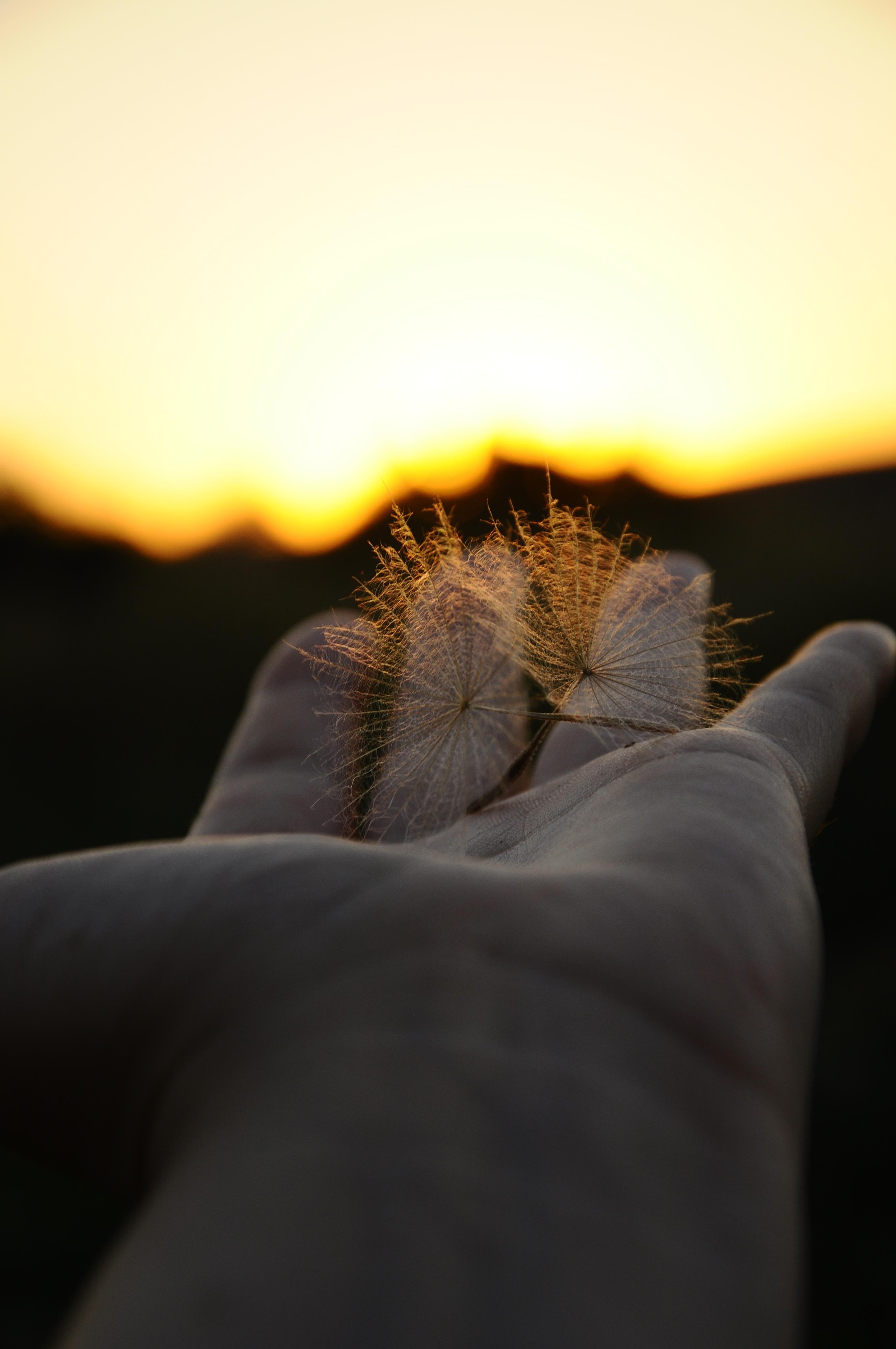 Moods. Photos by Vasilisa Popil