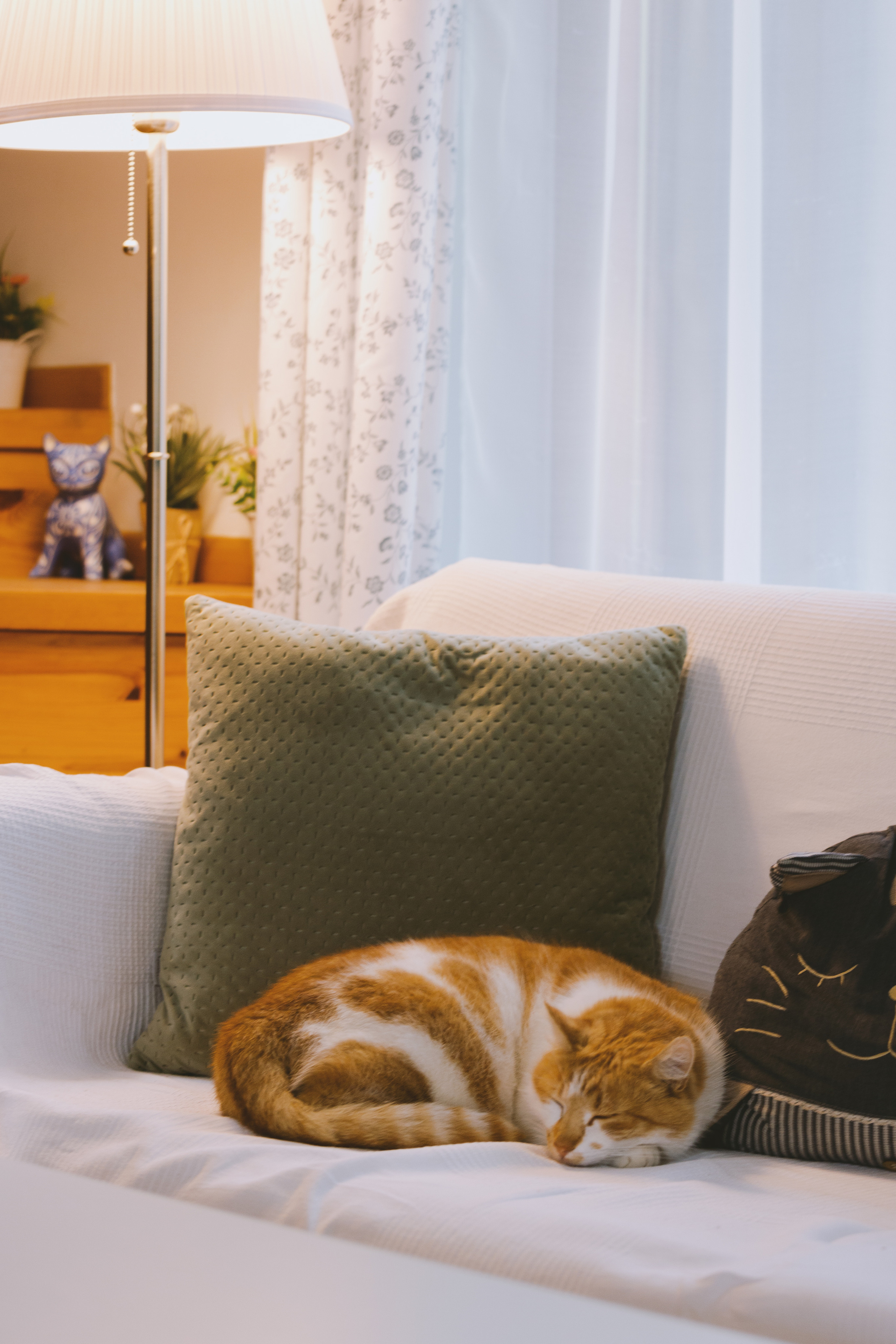 Moods. Photos by Vasilisa Popil