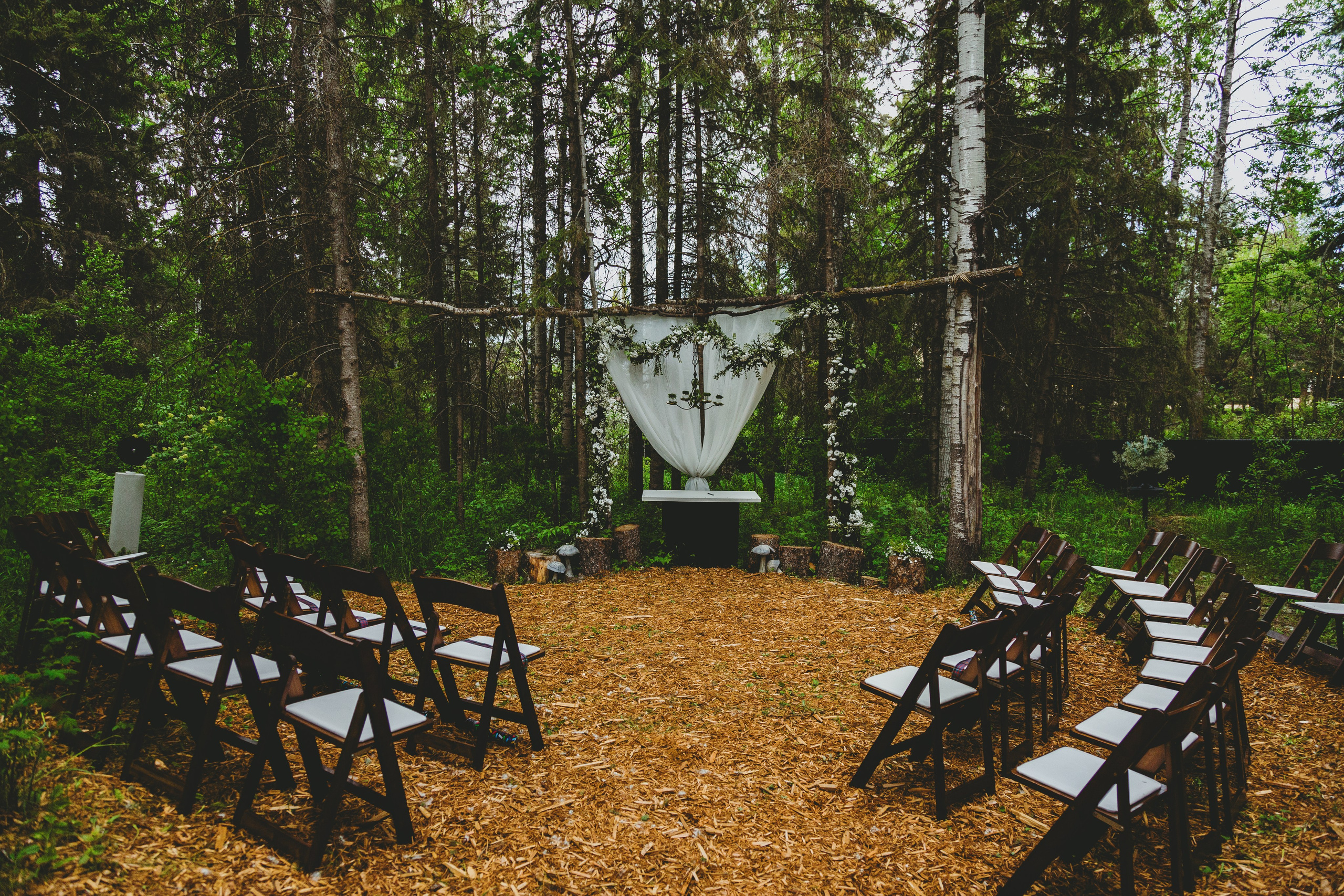 Wedding 2024. Photos by Vasilisa Popil