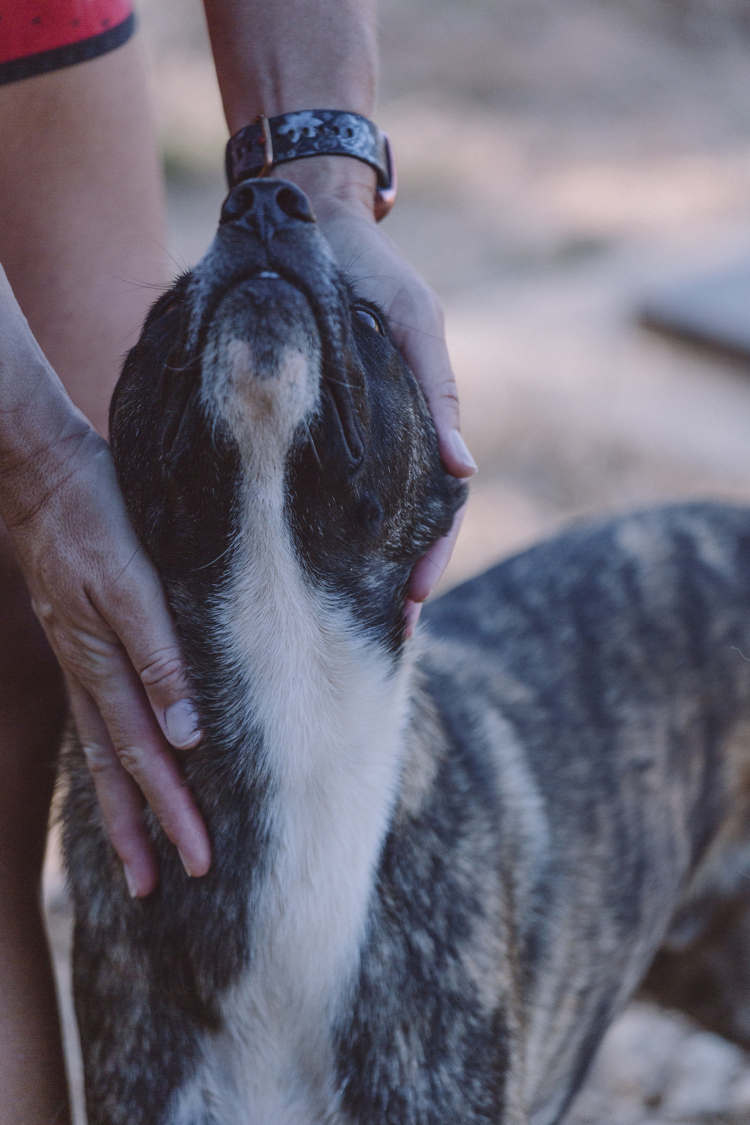 Bella Vida. Photos by Vasilisa Popil