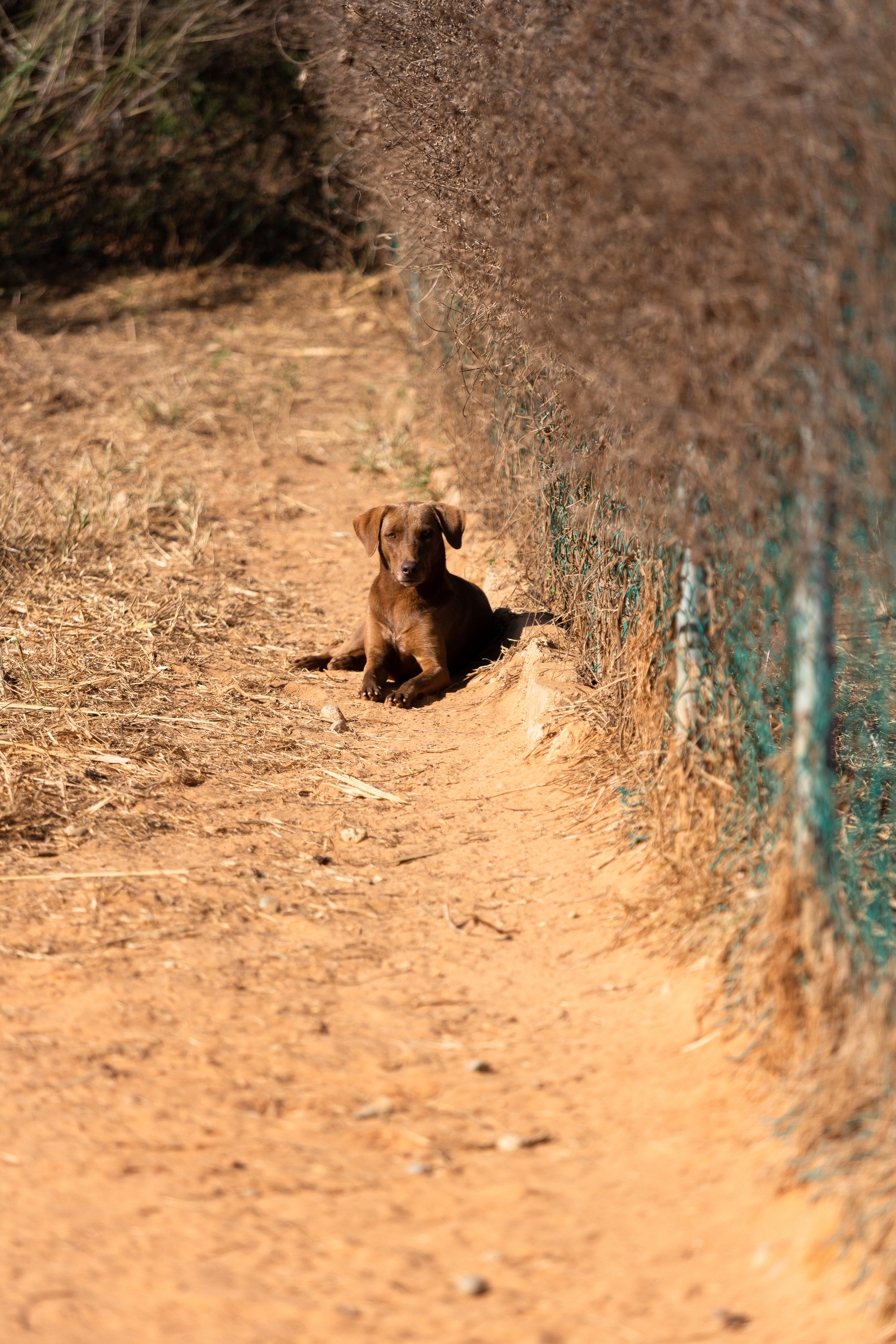 Bella Vida. Photos by Vasilisa Popil