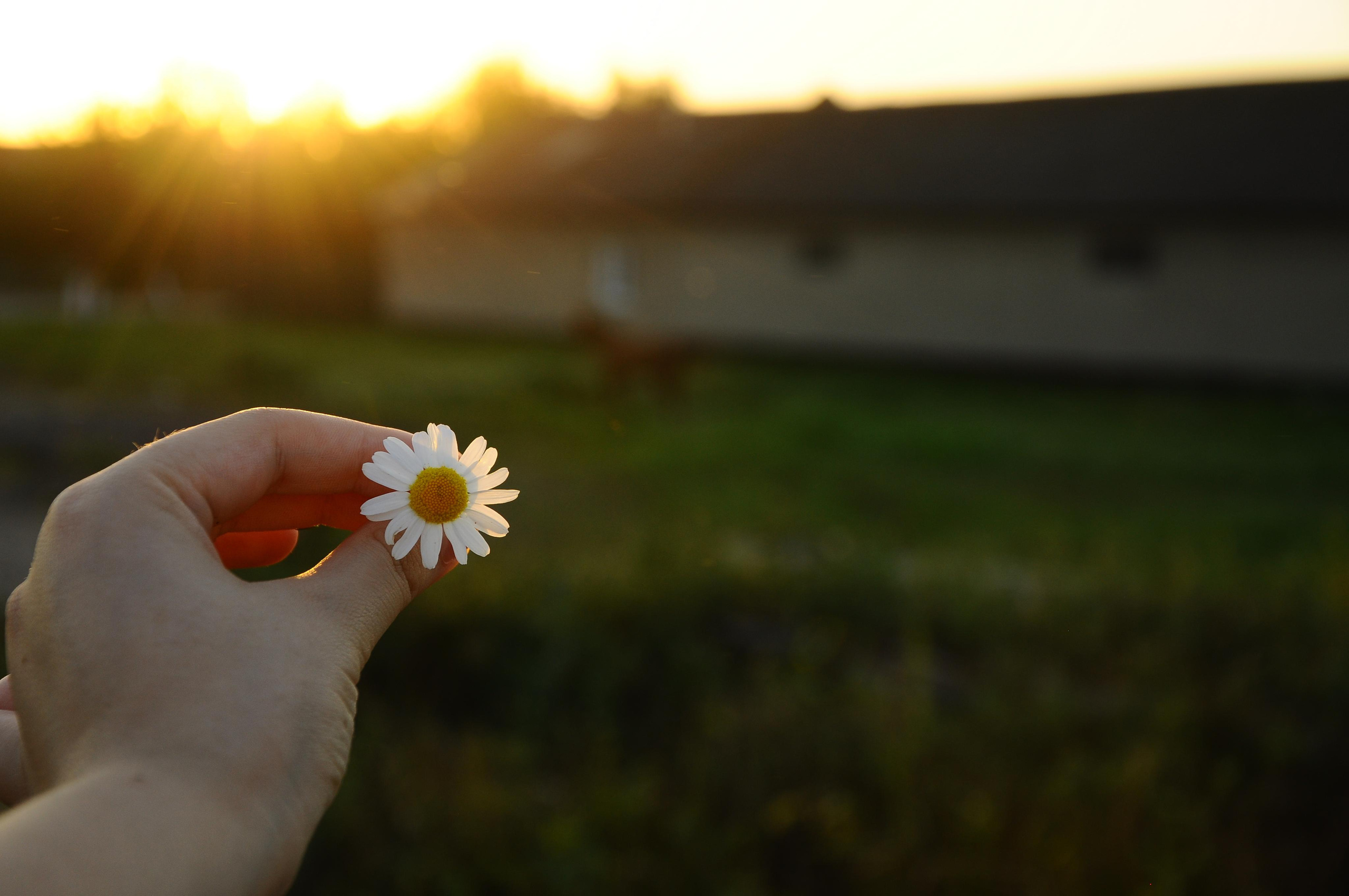 Moods. Photos by Vasilisa Popil