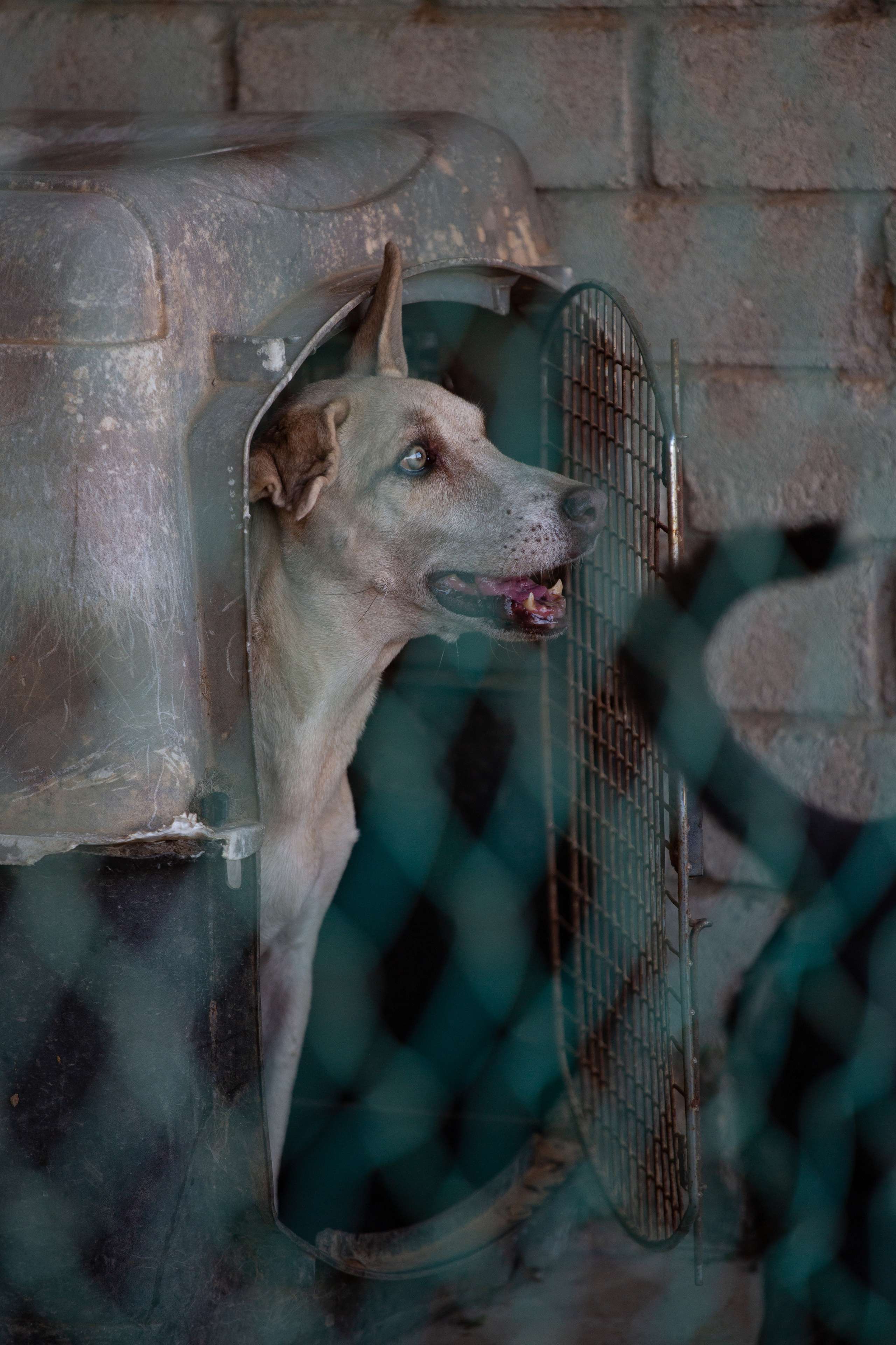 Bella Vida. Photos by Vasilisa Popil