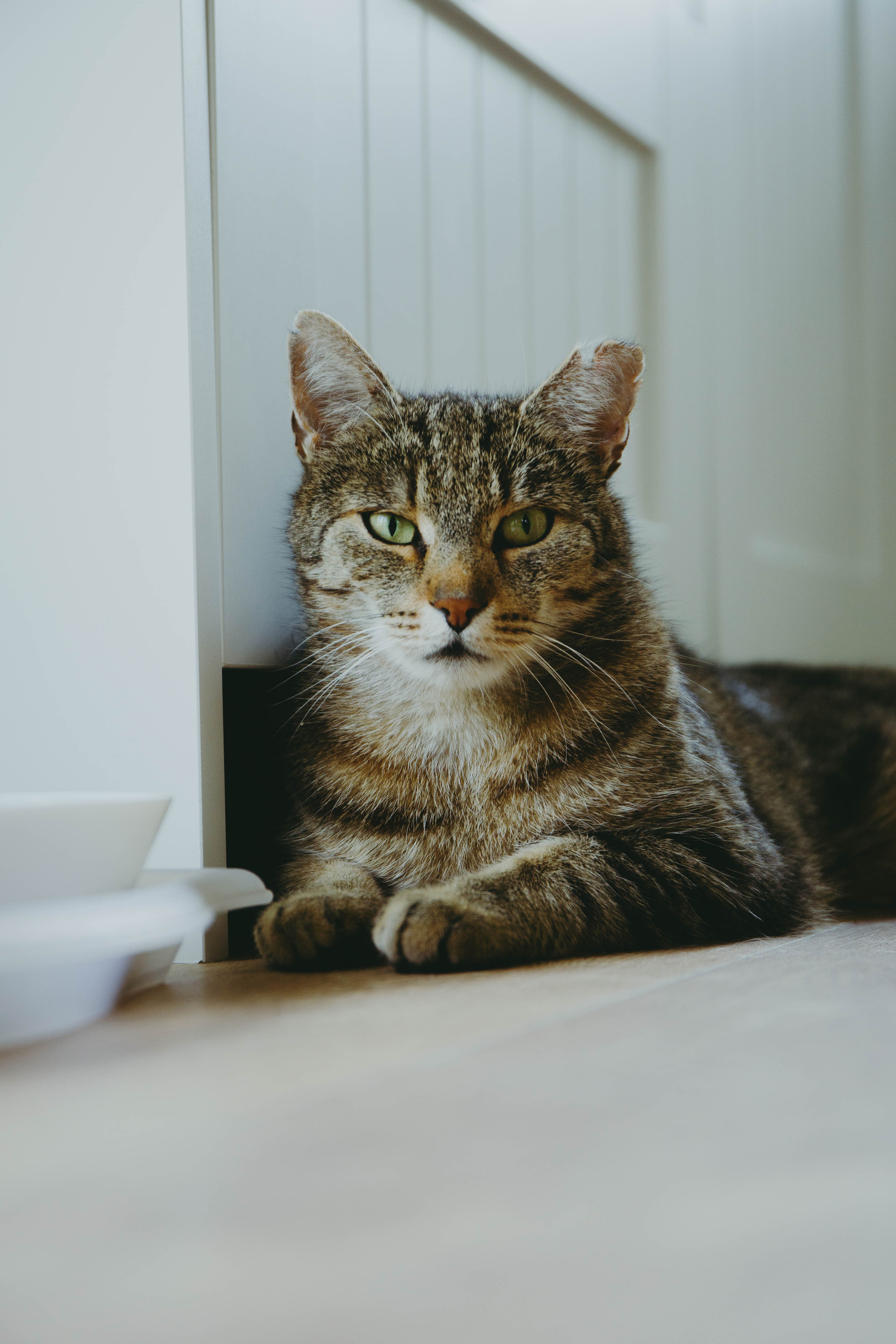 Moods. Photos by Vasilisa Popil