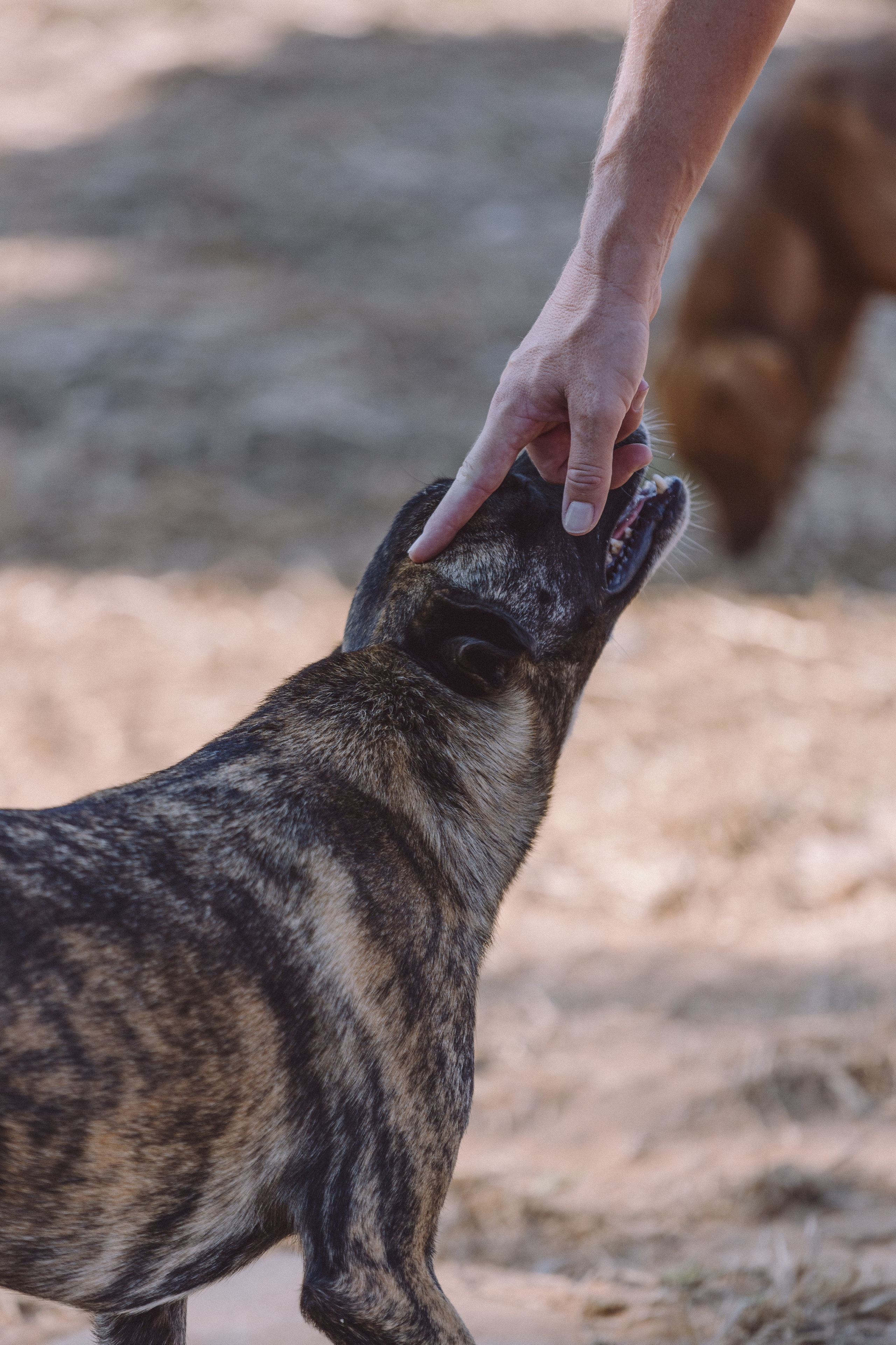 Bella Vida. Photos by Vasilisa Popil