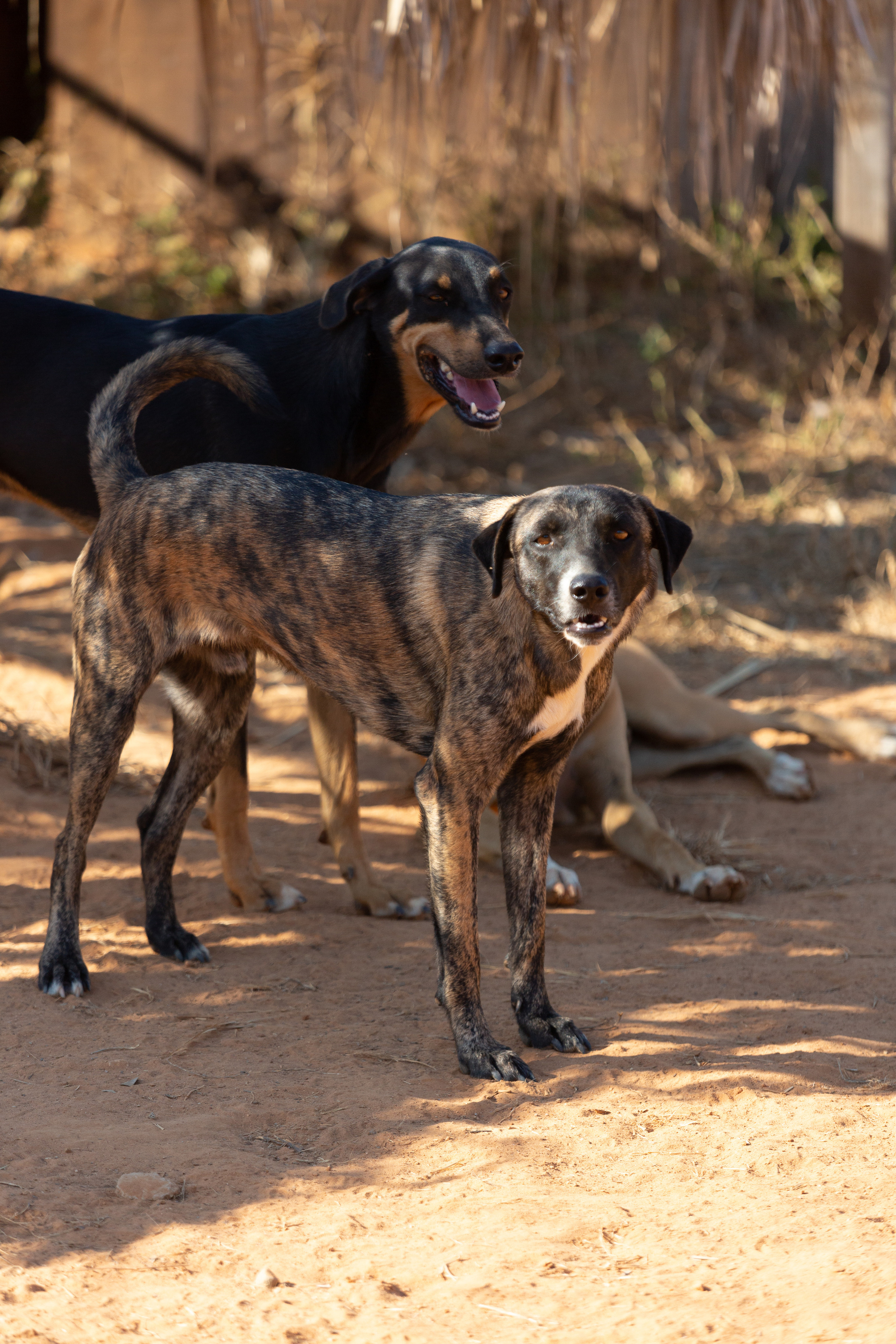 Bella Vida. Photos by Vasilisa Popil