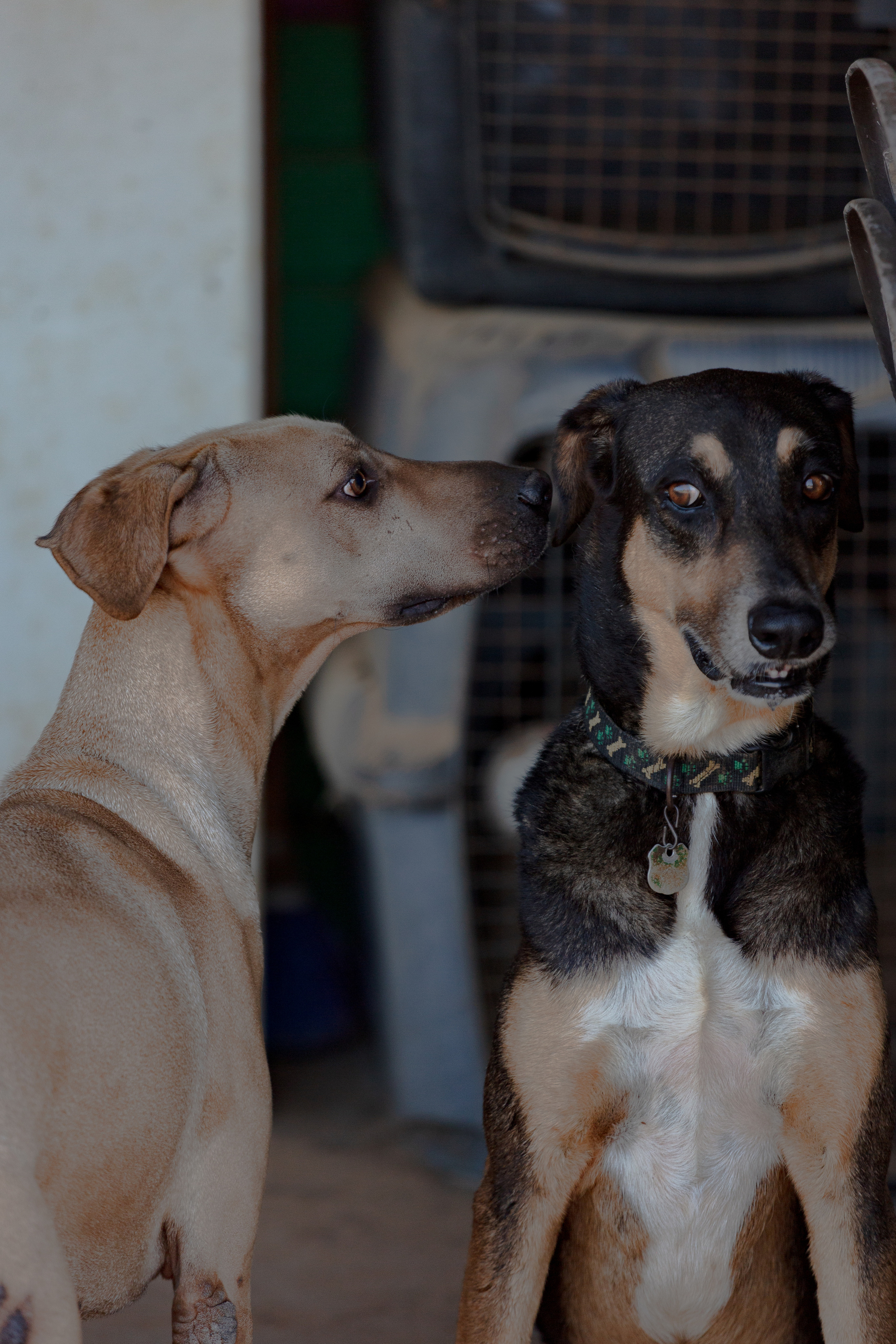 Bella Vida. Photos by Vasilisa Popil