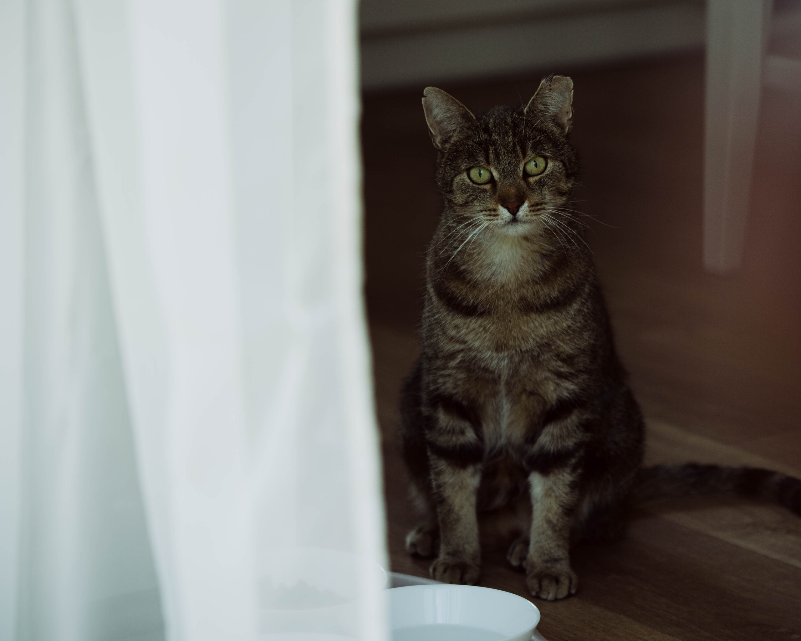 Moods. Photos by Vasilisa Popil