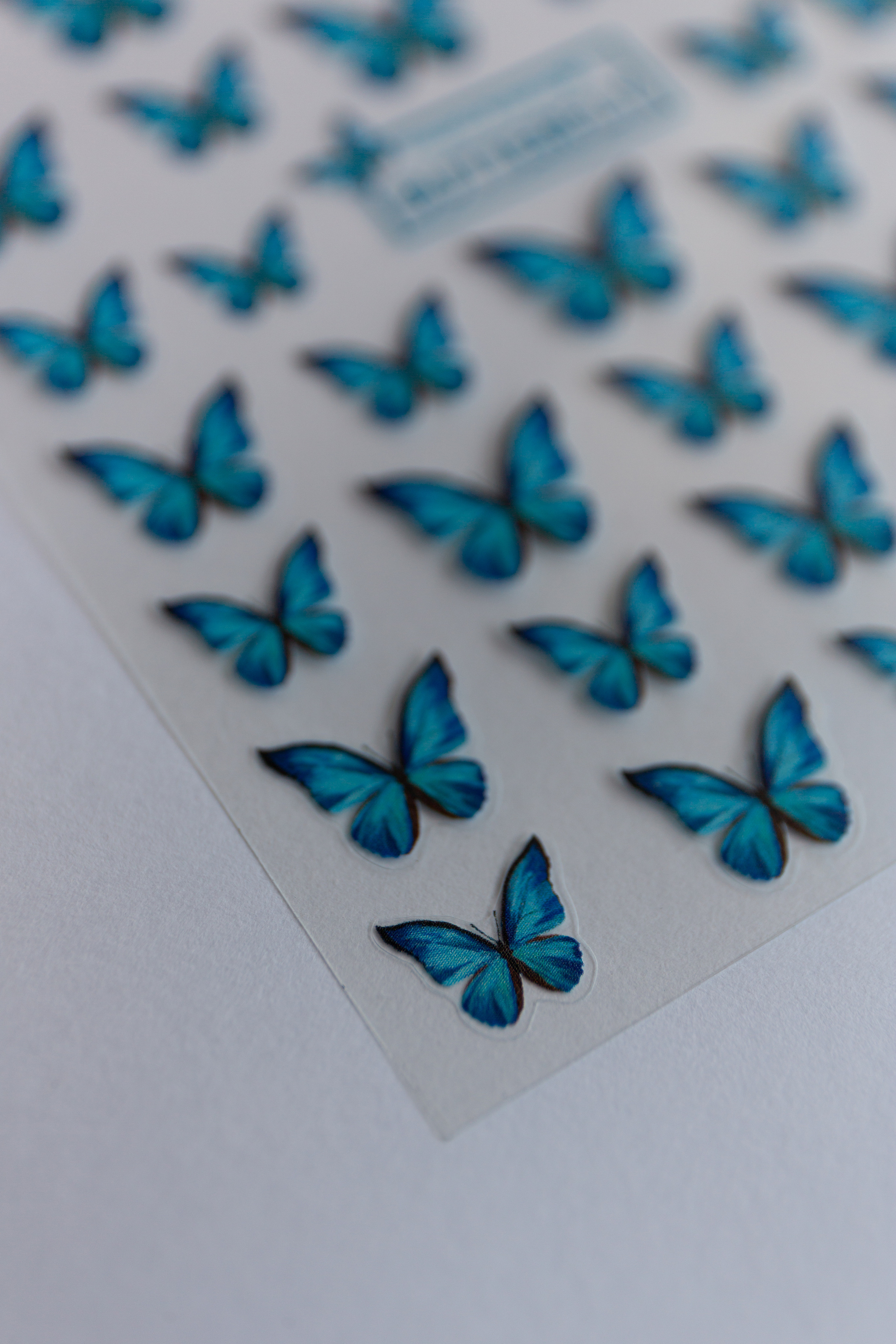 Power beauty. Photos by Vasilisa Popil