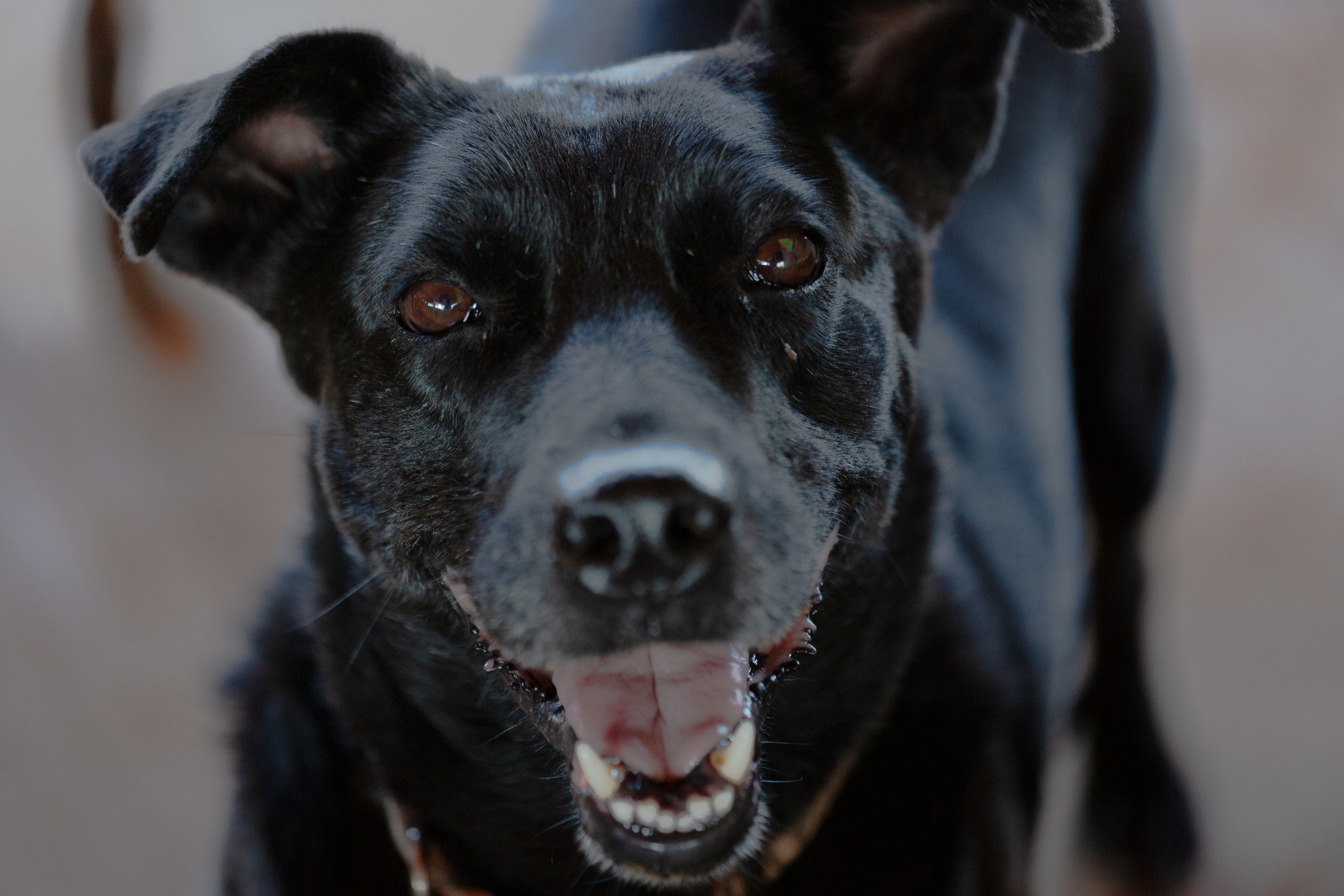 Bella Vida. Photos by Vasilisa Popil