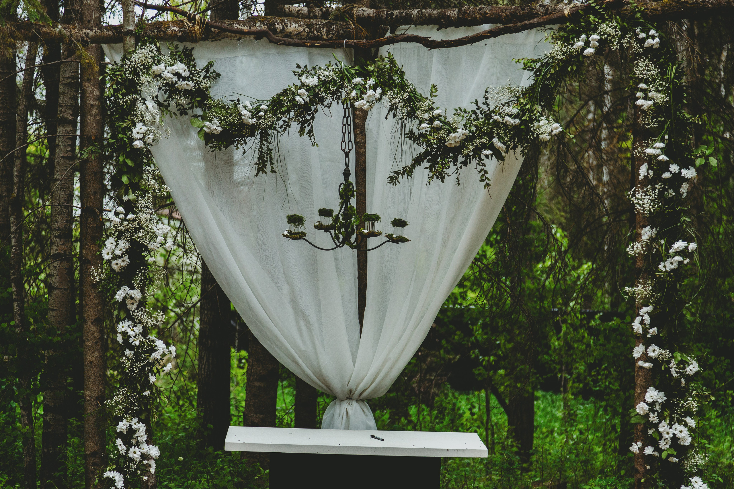 Wedding 2024. Photos by Vasilisa Popil