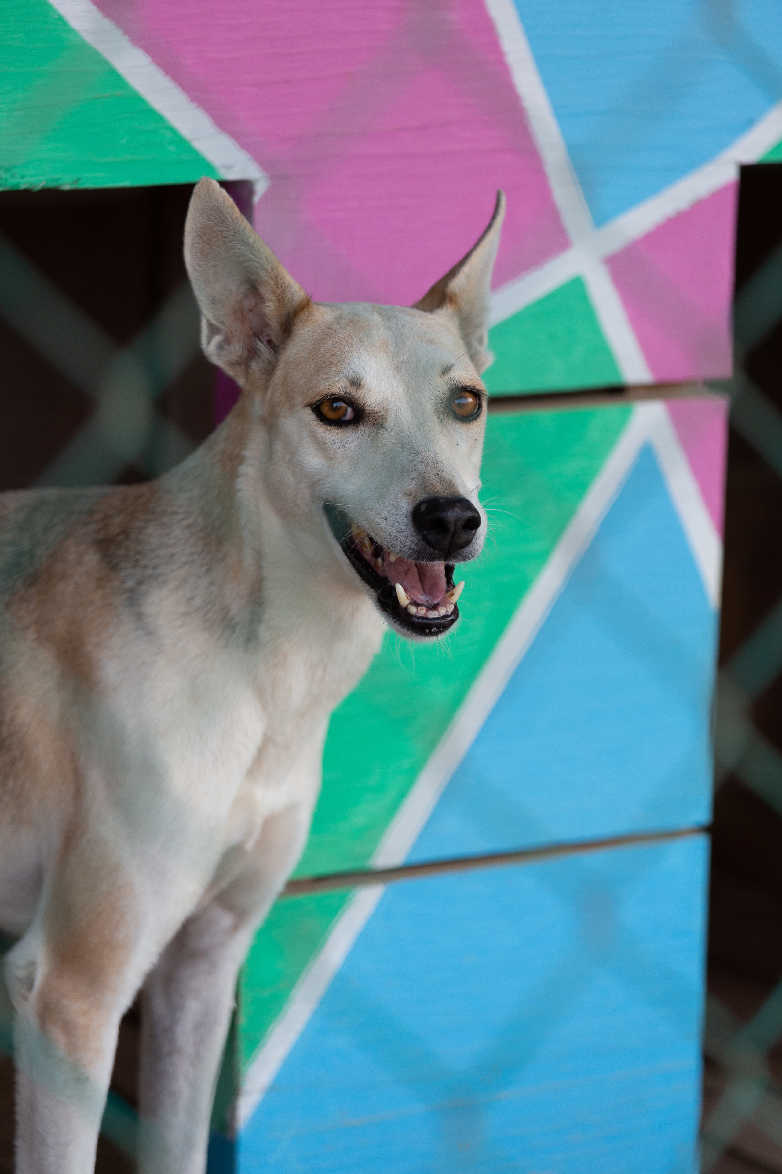 Bella Vida. Photos by Vasilisa Popil