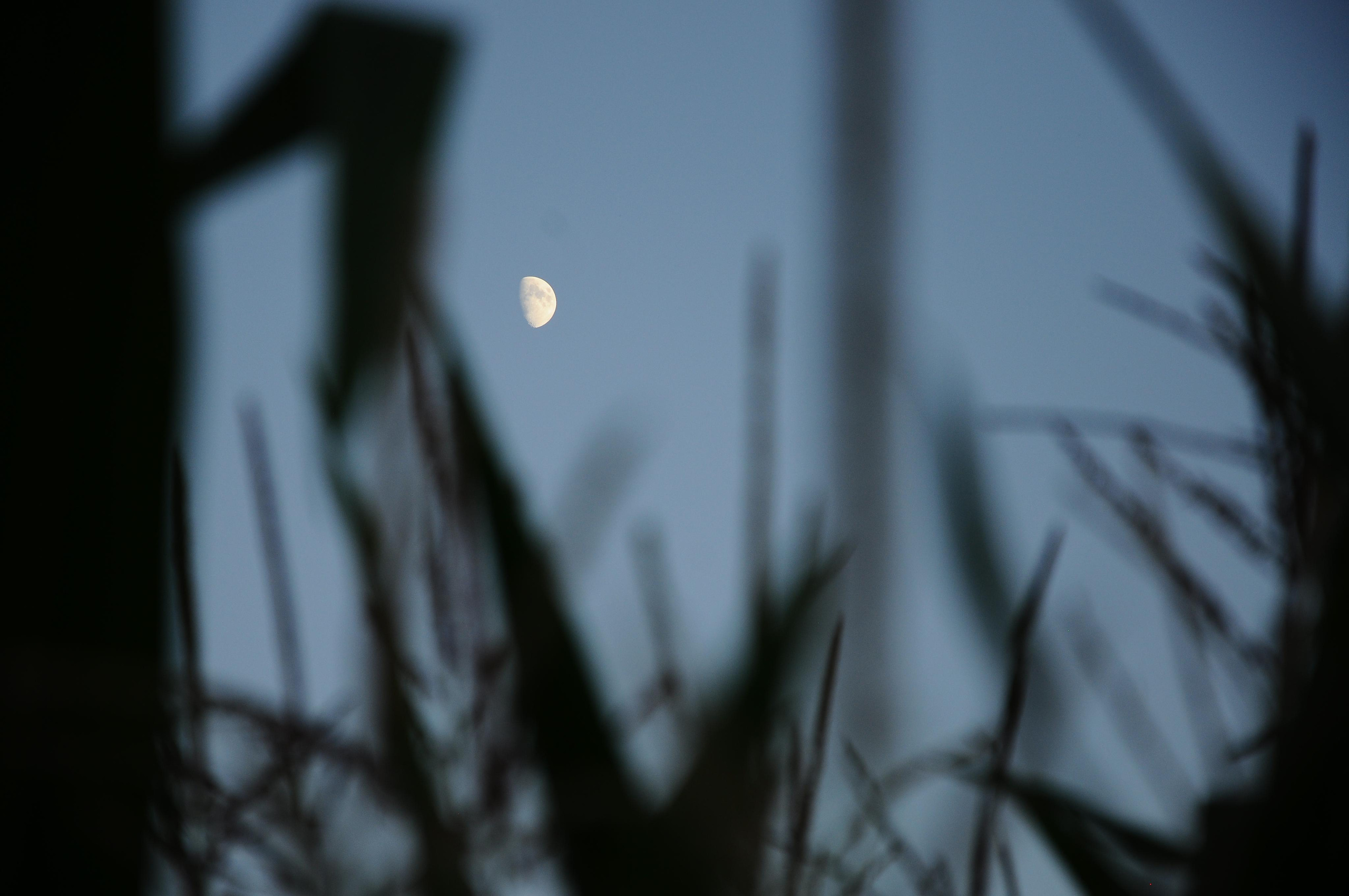 Moods. Photos by Vasilisa Popil