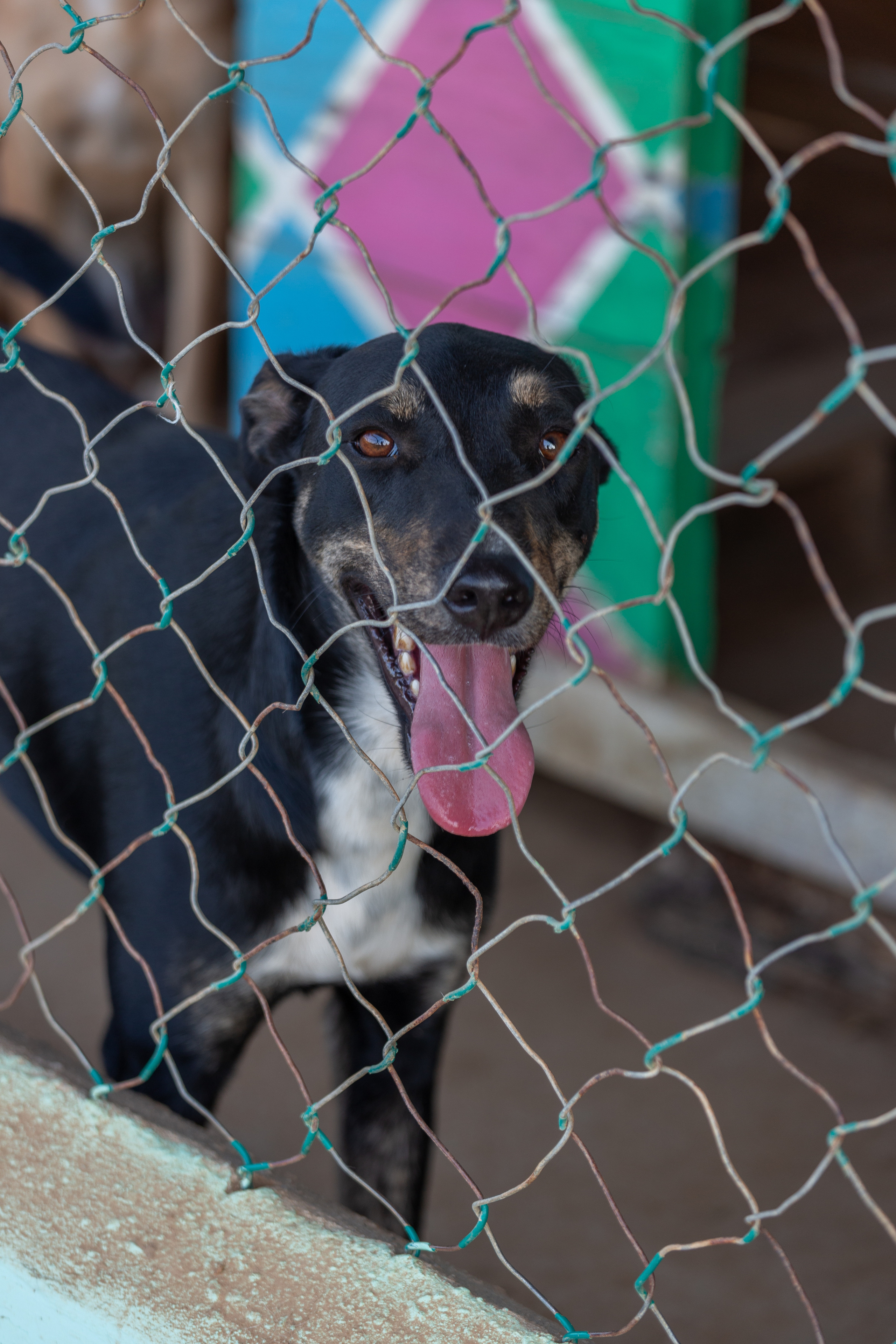 Bella Vida. Photos by Vasilisa Popil