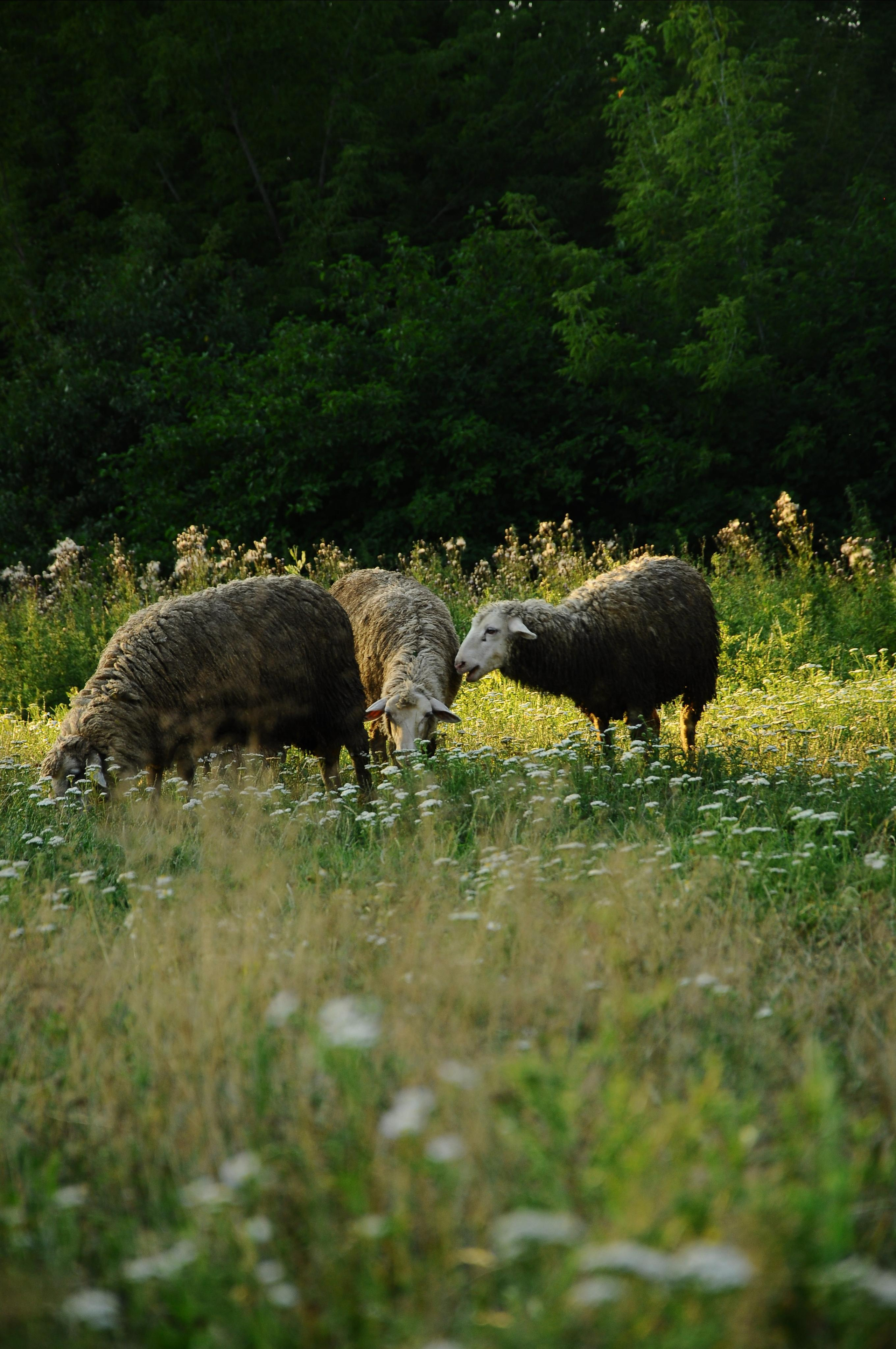 Moods. Photos by Vasilisa Popil