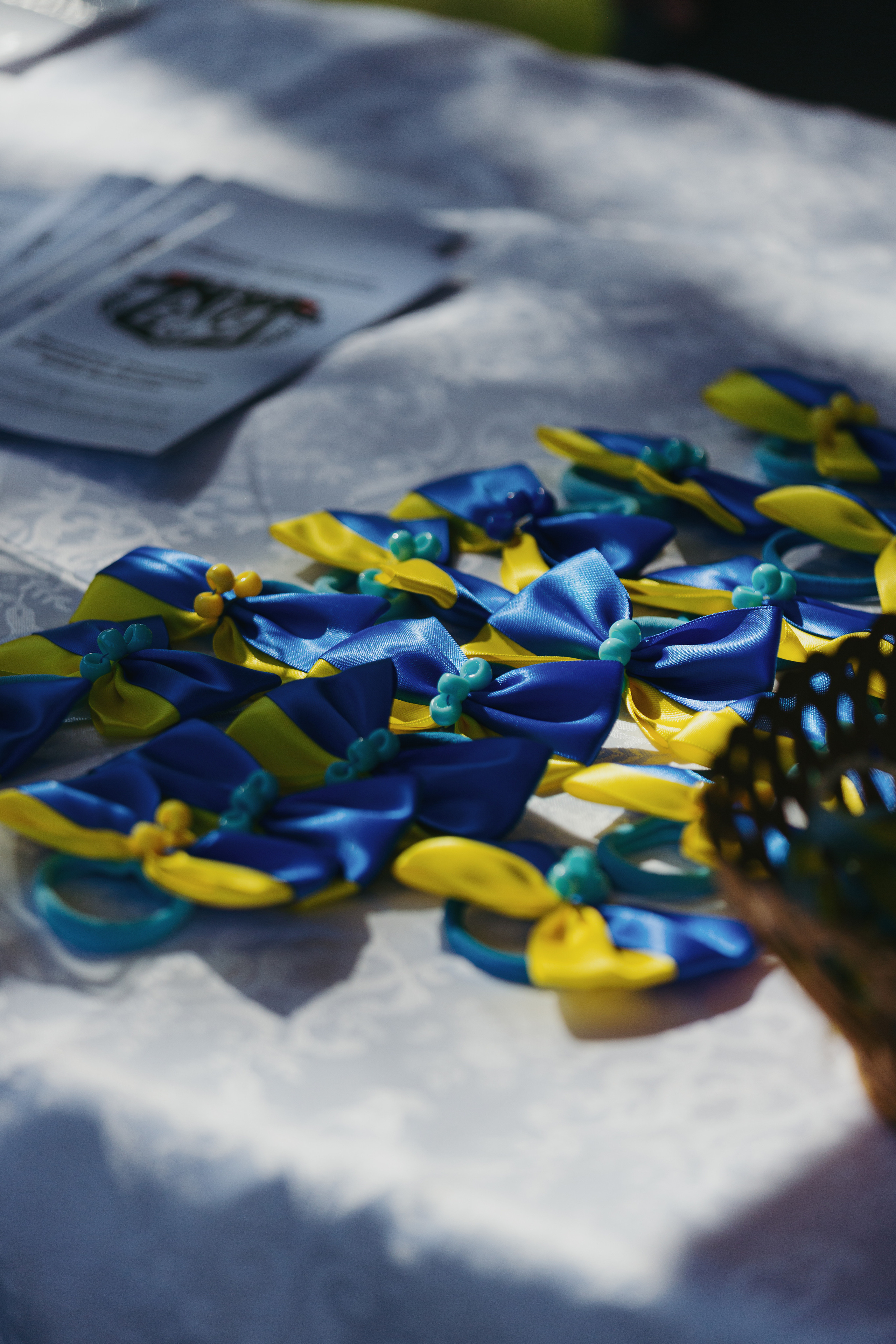 Ukrainian Day. Photos by Vasilisa Popil