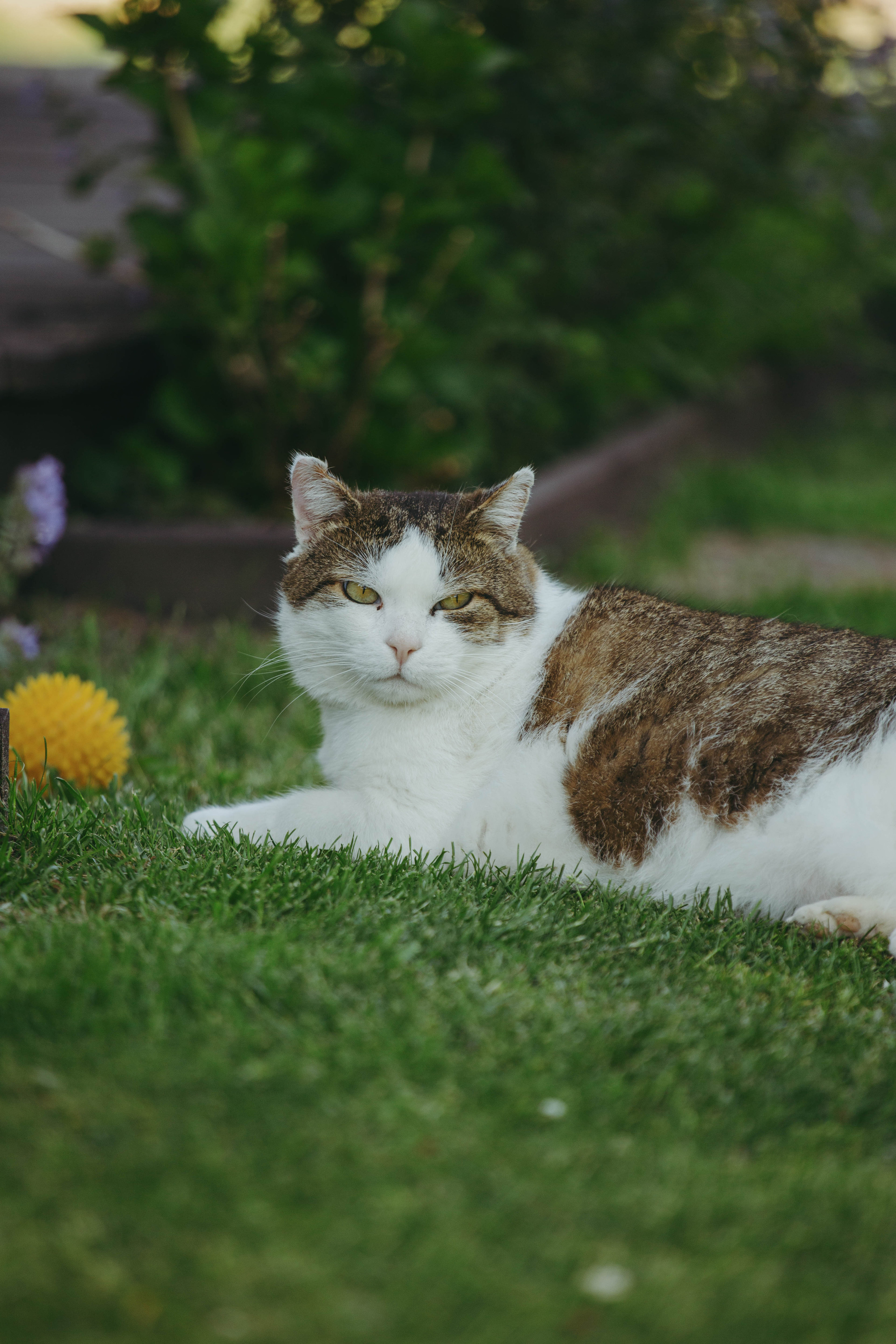 Moods. Photos by Vasilisa Popil