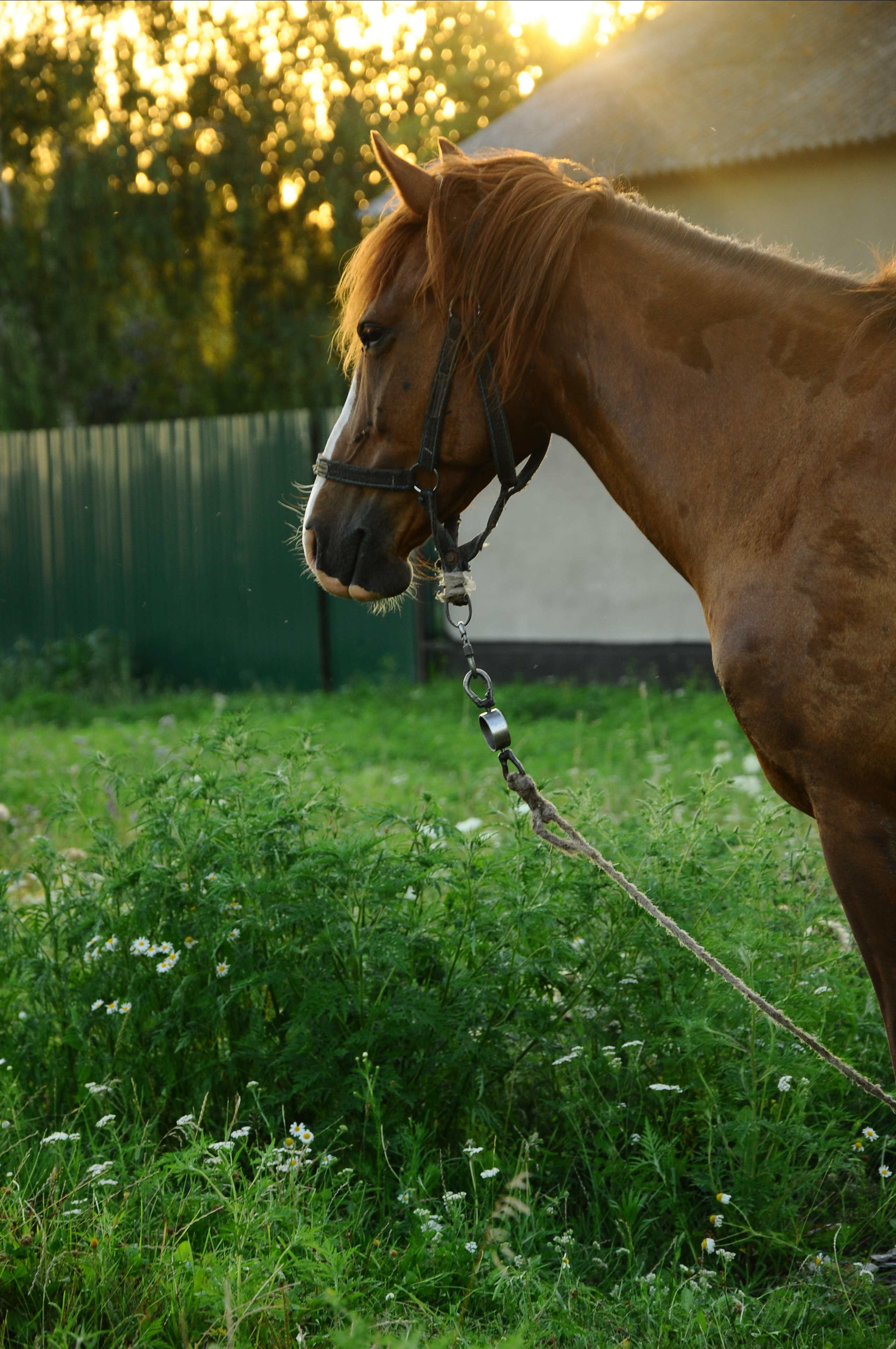 Moods. Photos by Vasilisa Popil