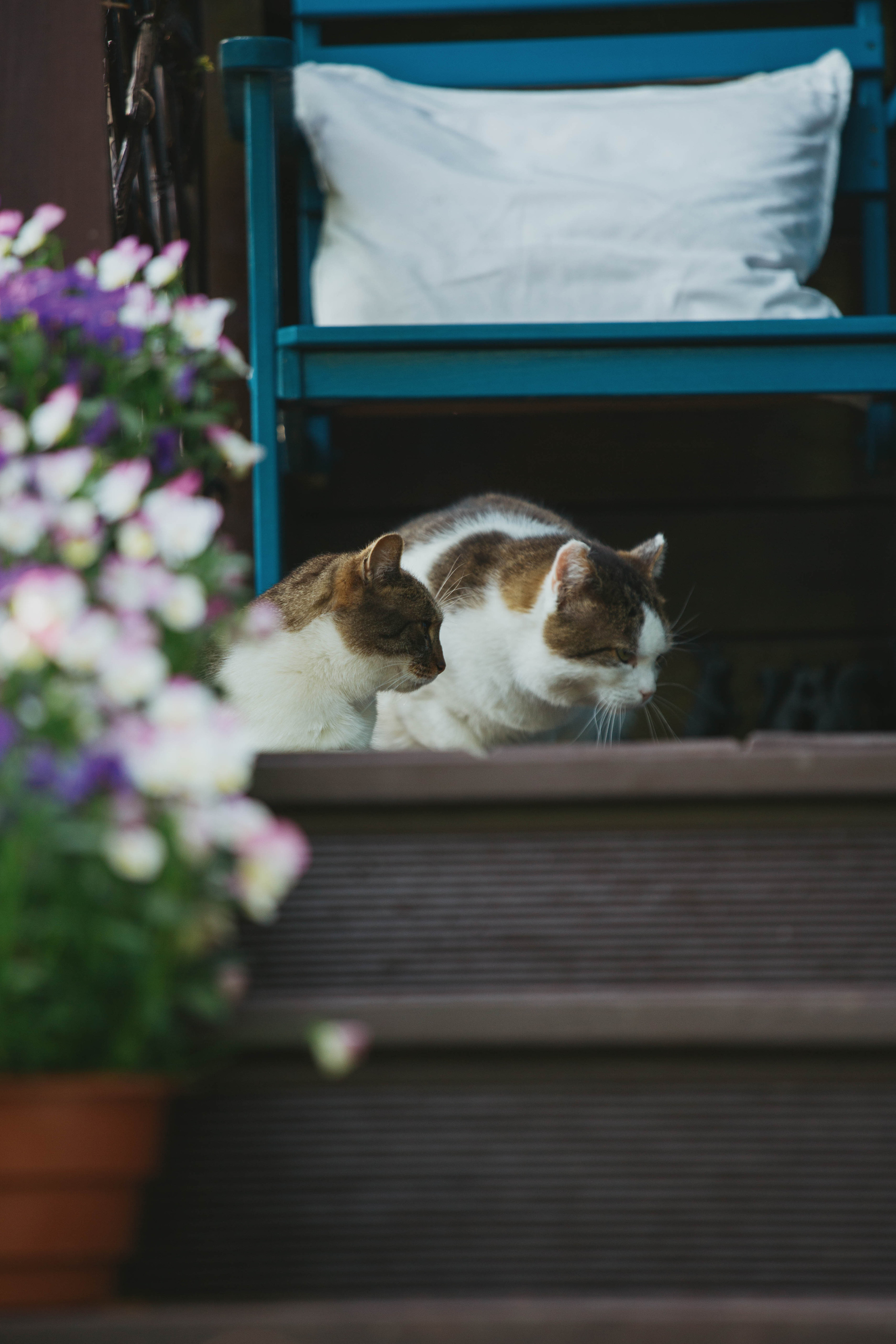 Moods. Photos by Vasilisa Popil