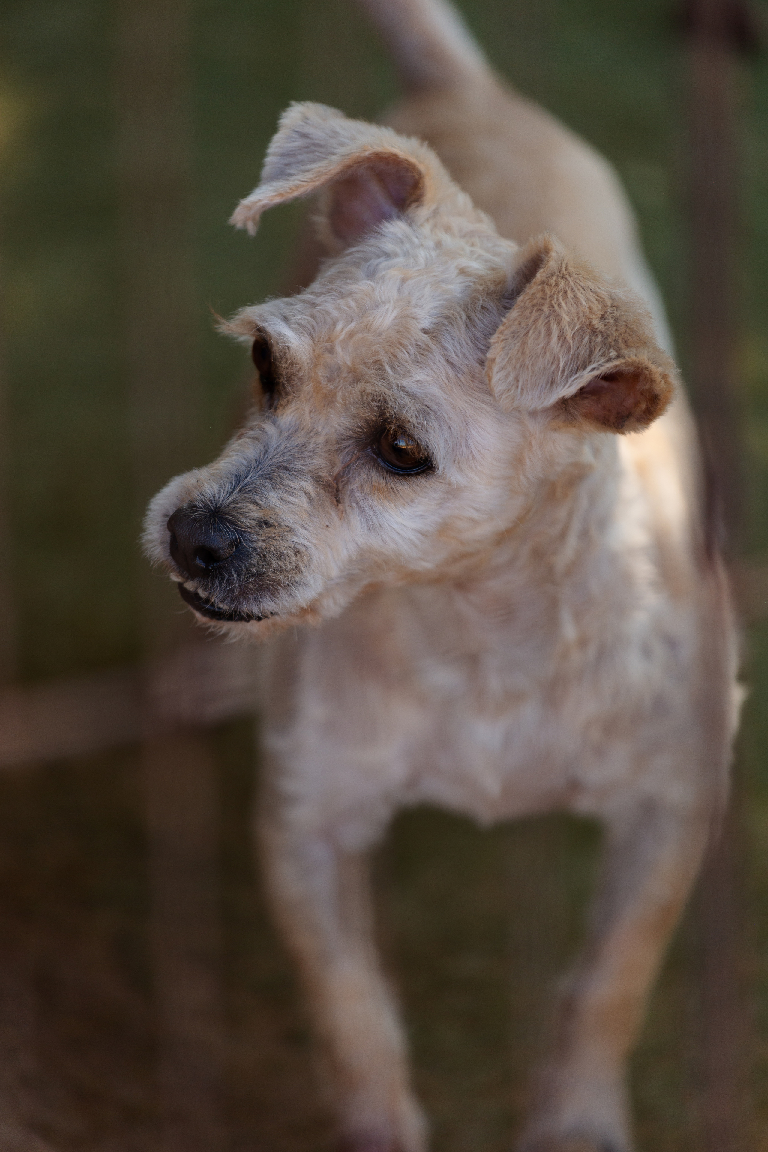 Bella Vida. Photos by Vasilisa Popil