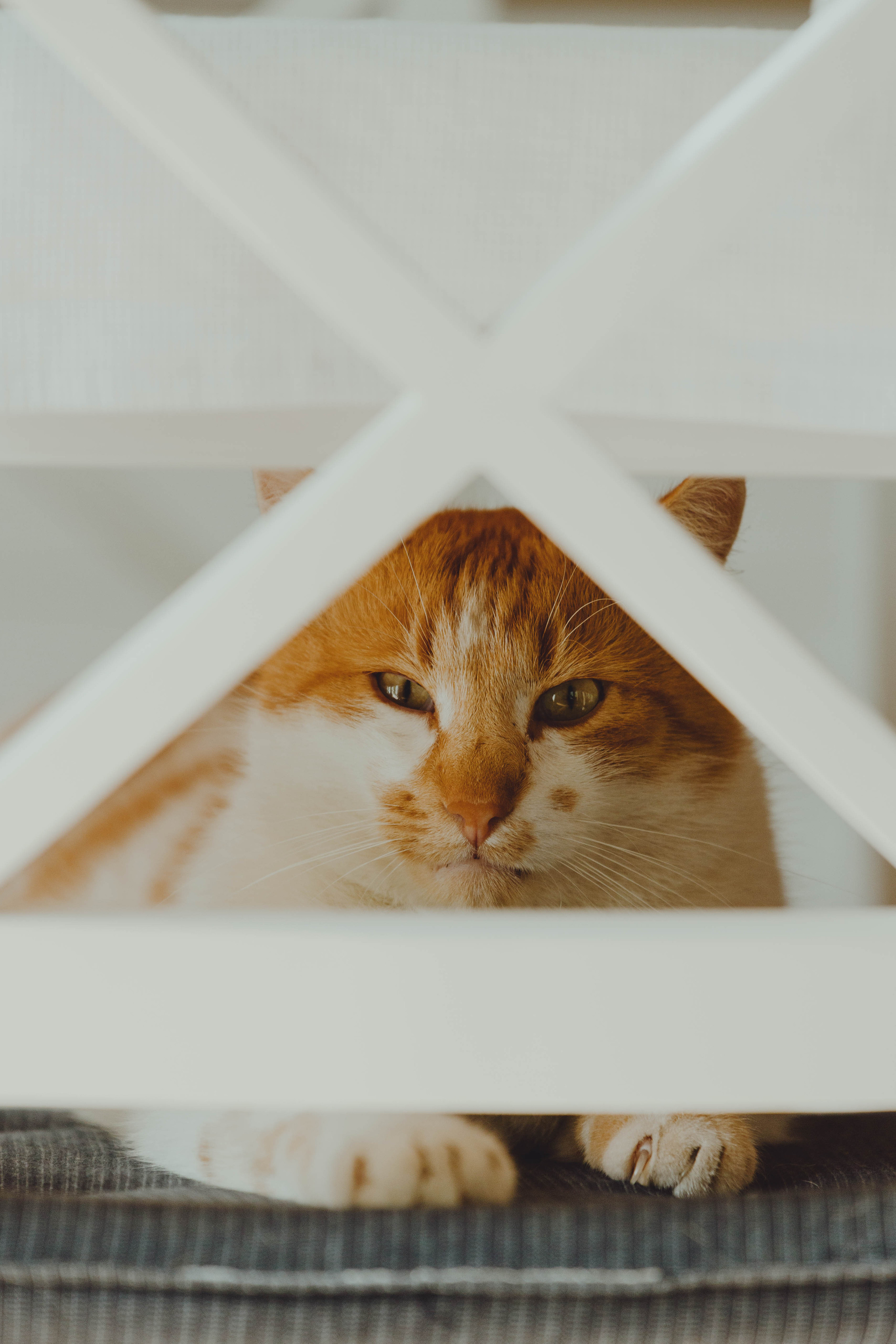 Moods. Photos by Vasilisa Popil