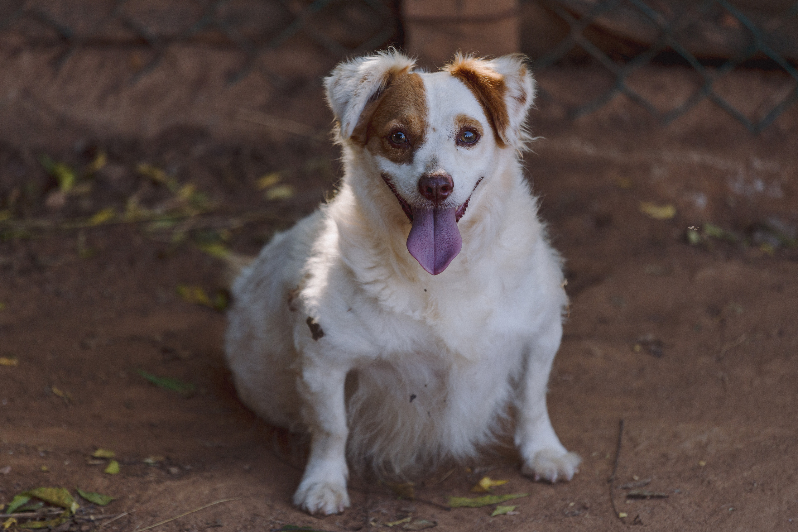 Bella Vida. Photos by Vasilisa Popil