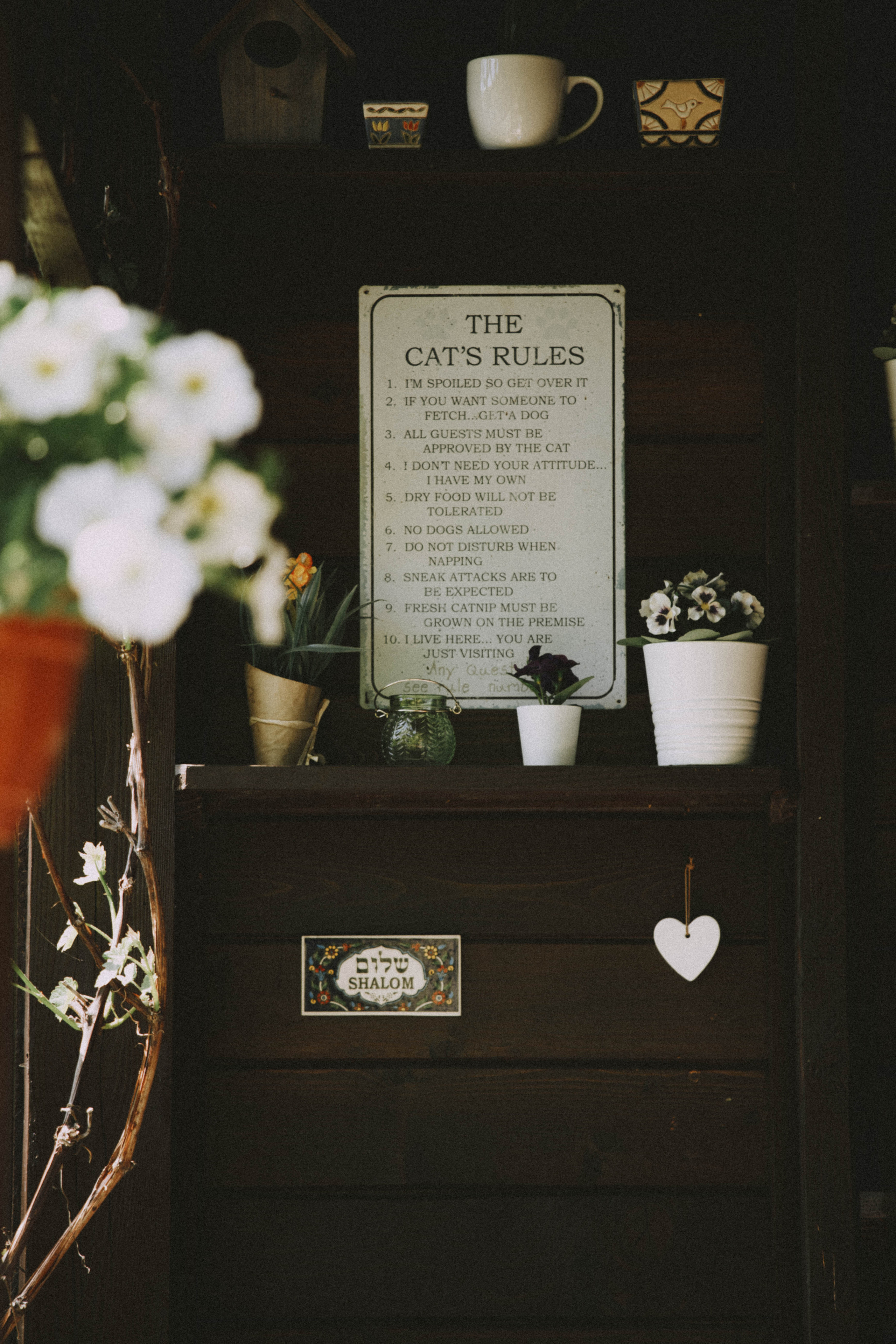 Moods. Photos by Vasilisa Popil