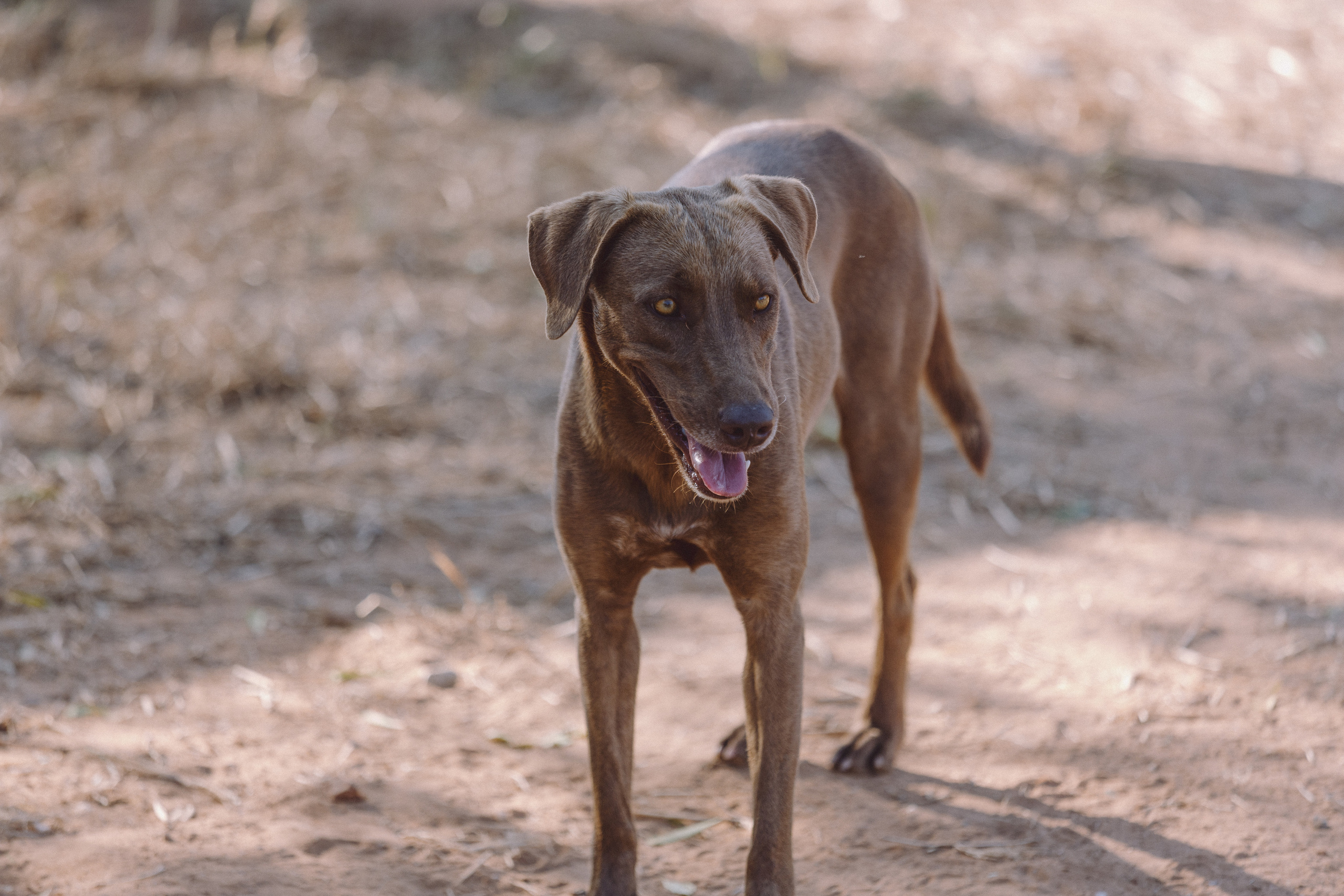 Bella Vida. Photos by Vasilisa Popil