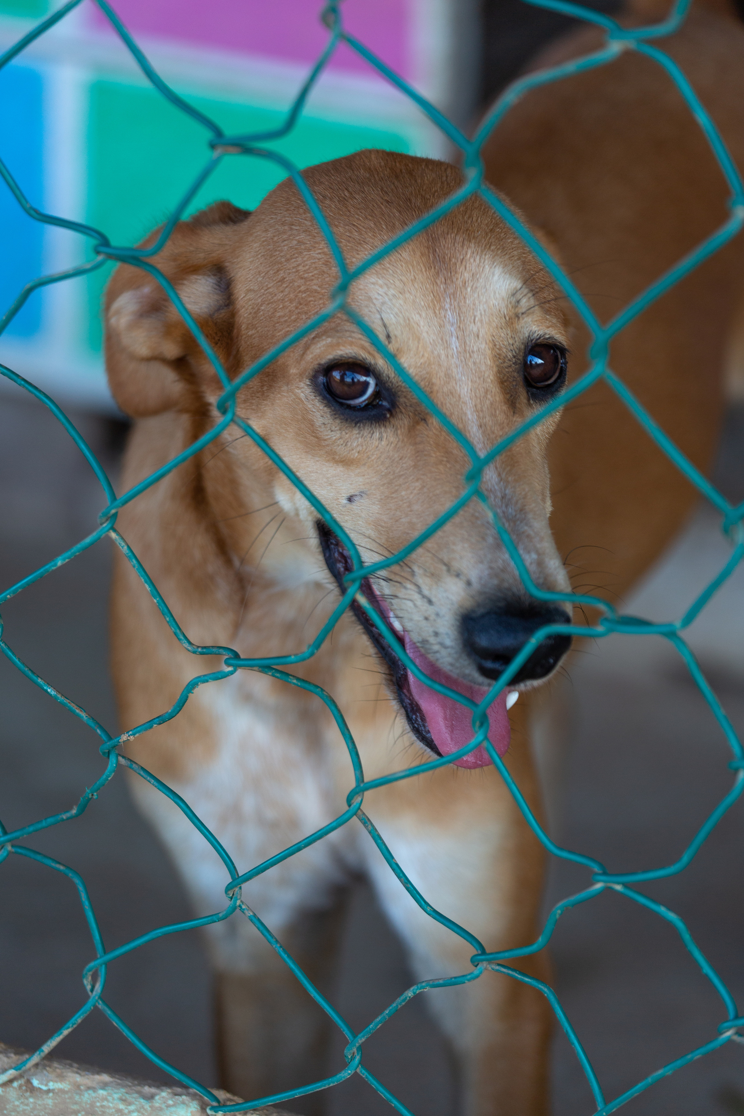 Bella Vida. Photos by Vasilisa Popil