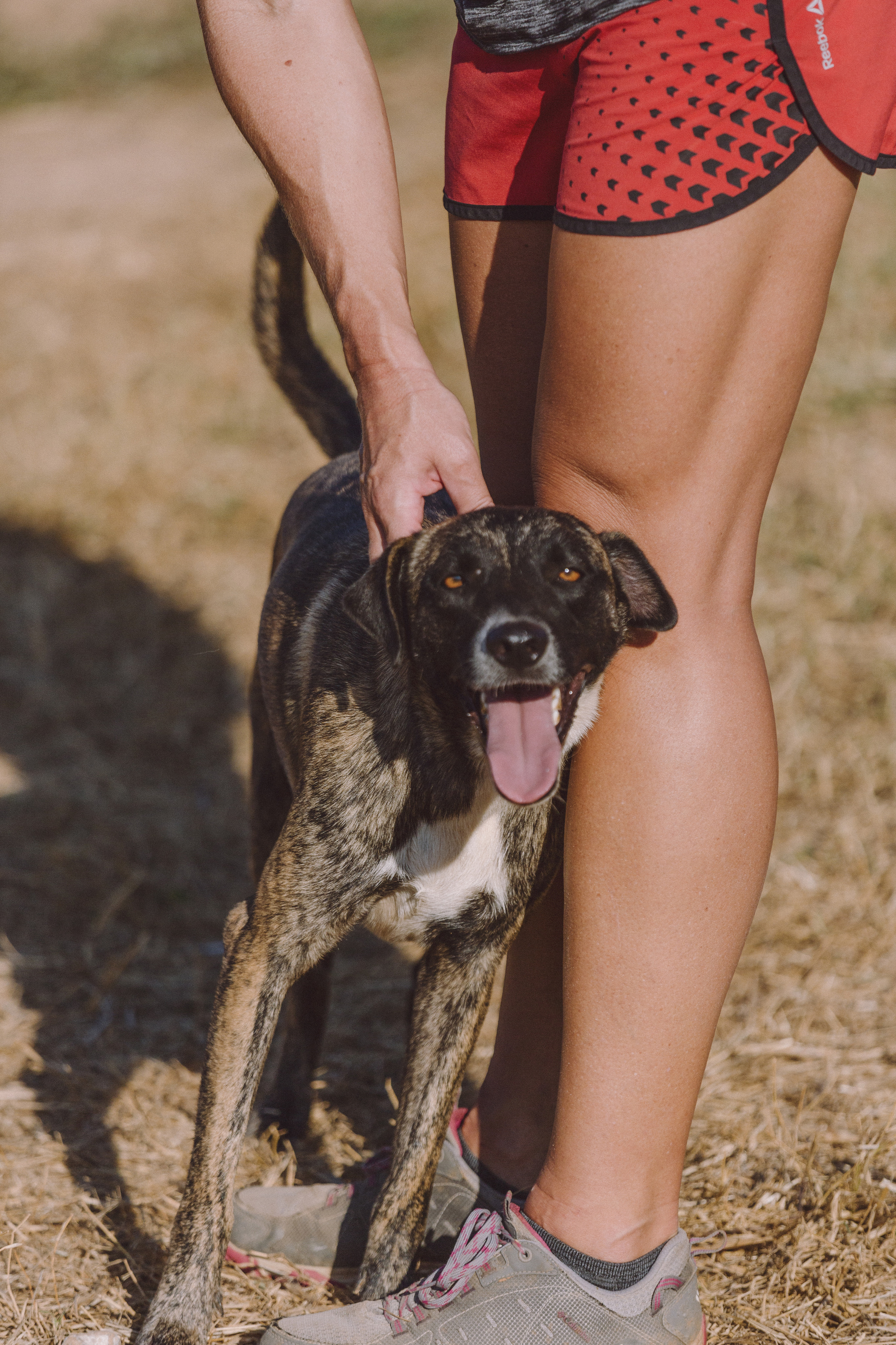 Bella Vida. Photos by Vasilisa Popil