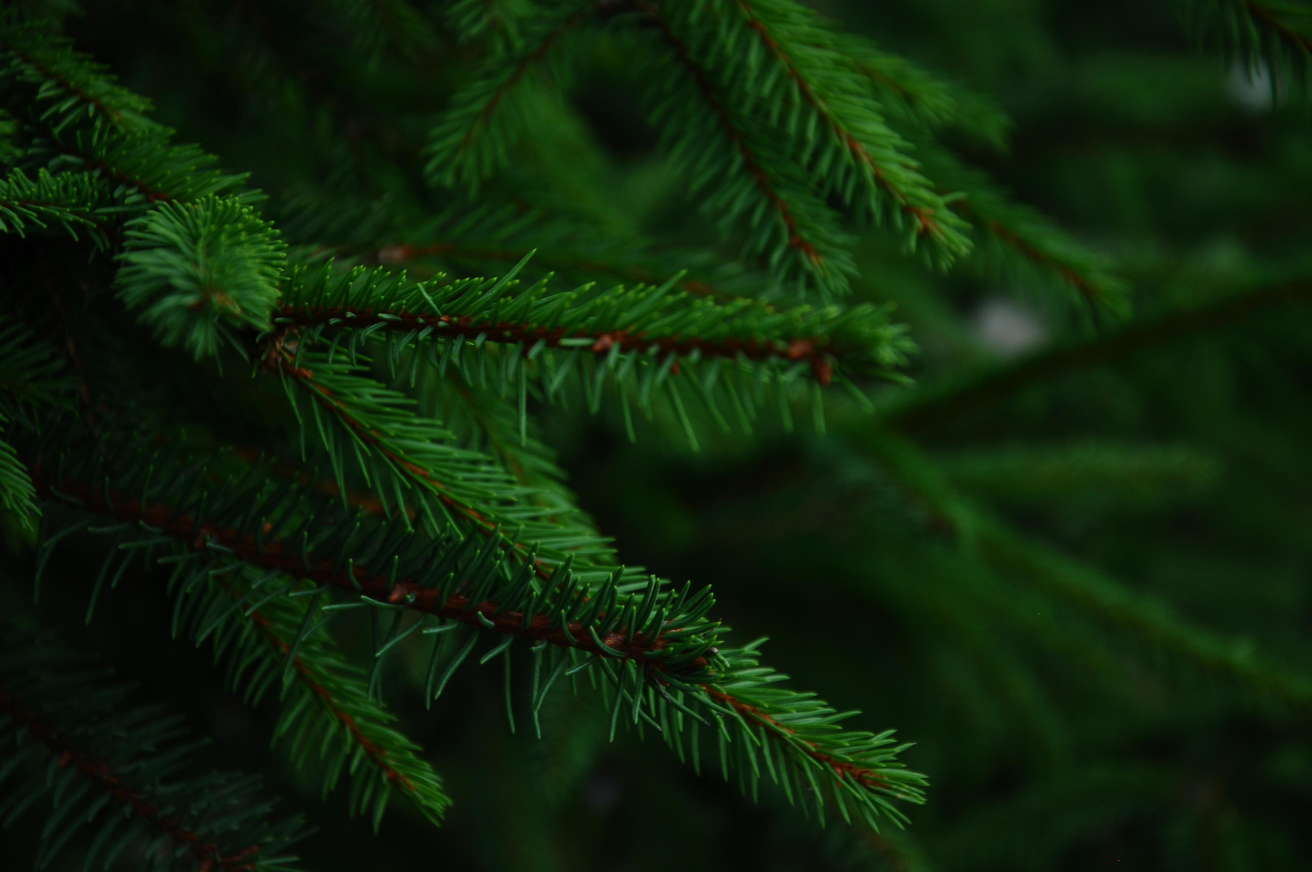 Moods. Photos by Vasilisa Popil