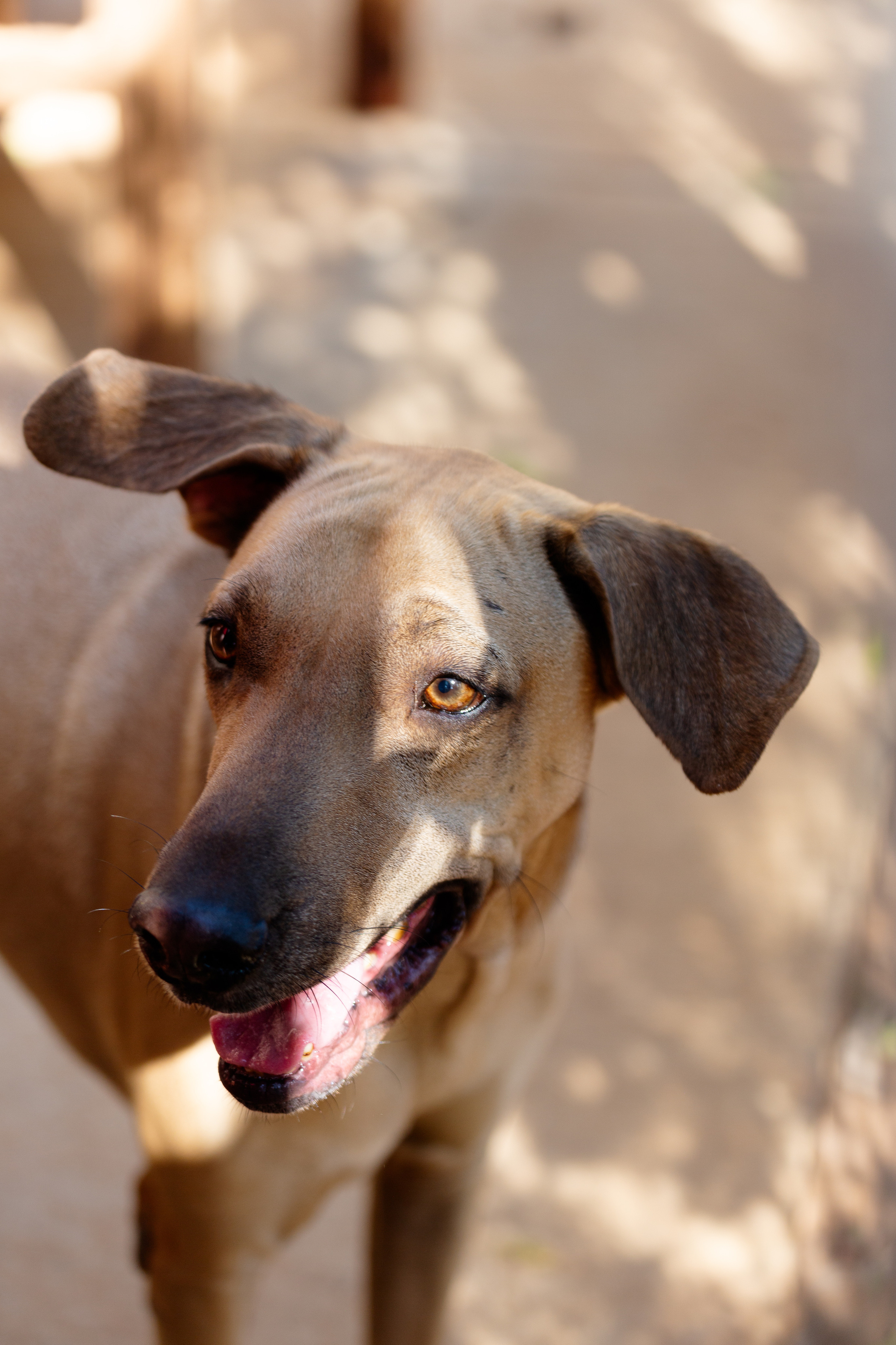 Bella Vida. Photos by Vasilisa Popil