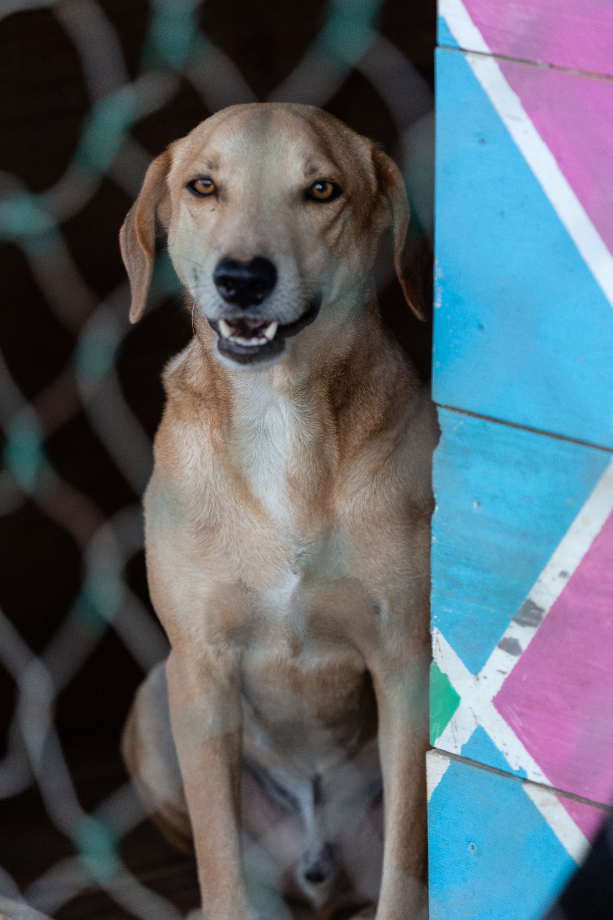 Bella Vida. Photos by Vasilisa Popil