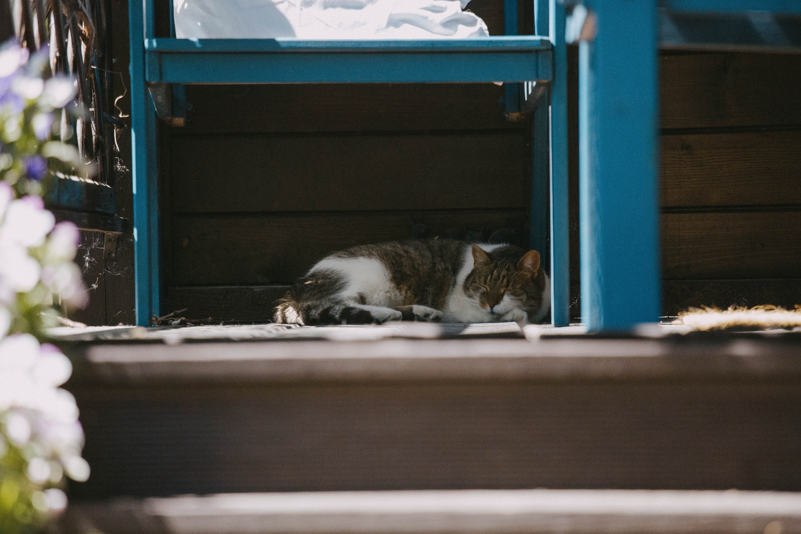 Moods. Photos by Vasilisa Popil