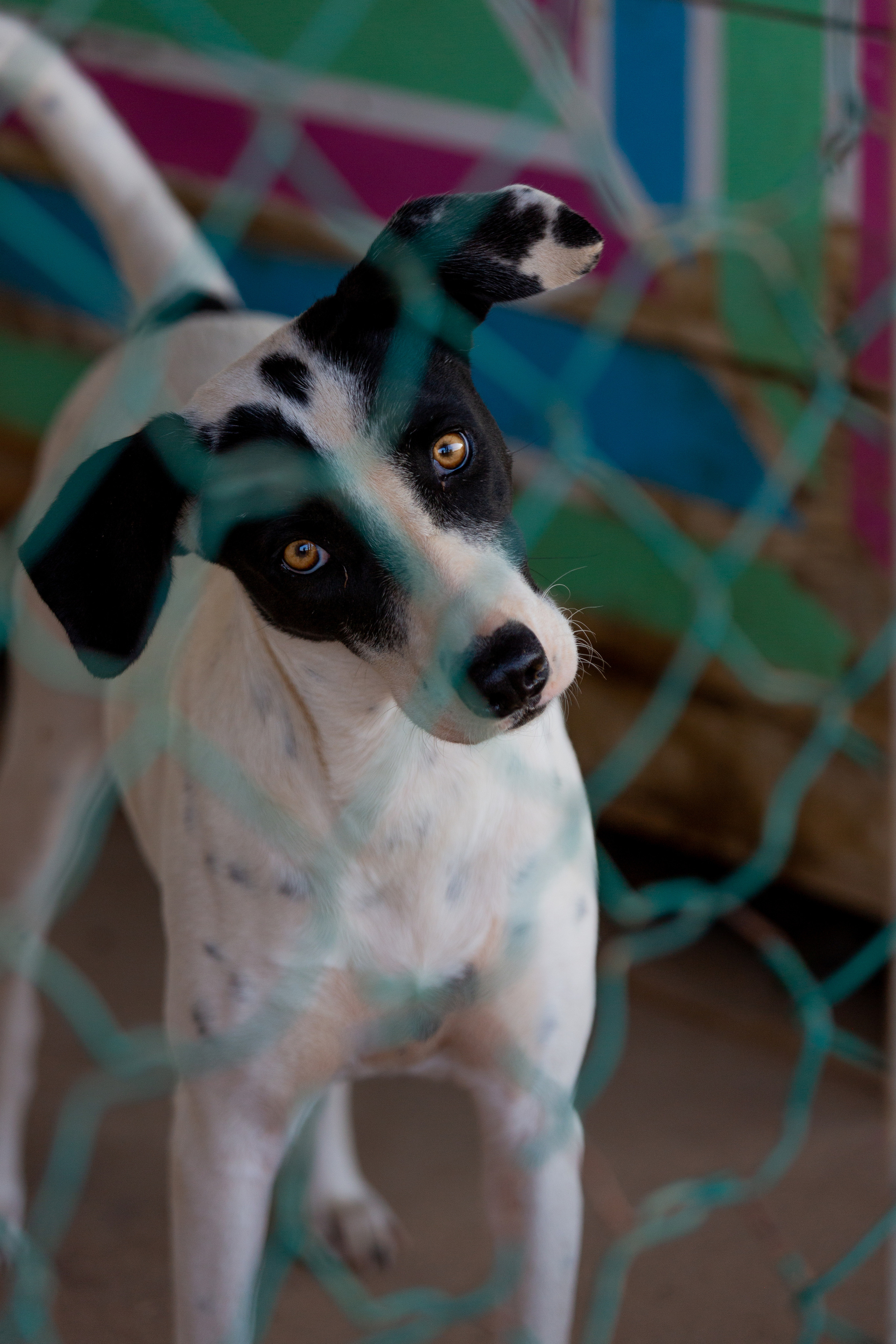 Bella Vida. Photos by Vasilisa Popil