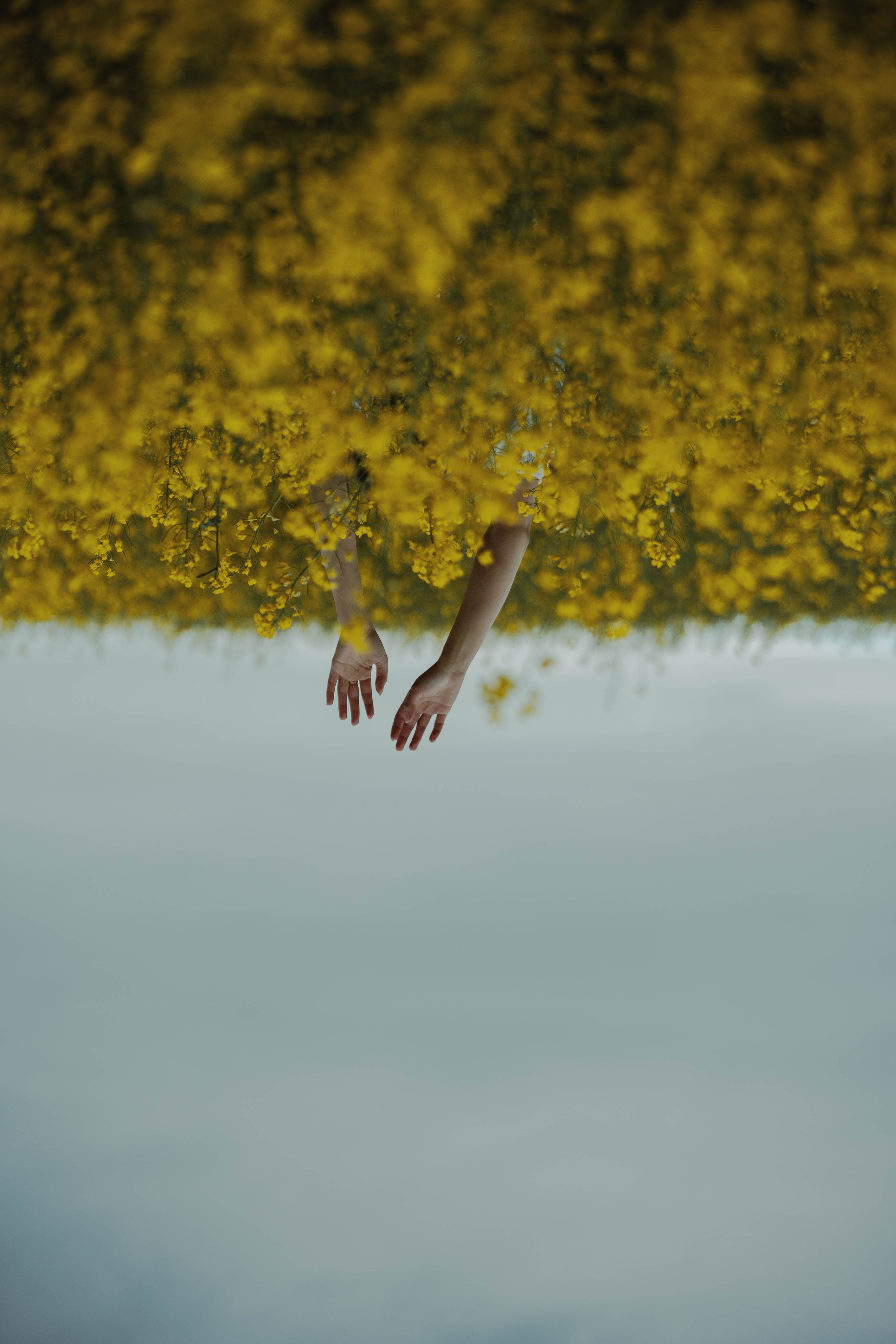 Moods. Photos by Vasilisa Popil