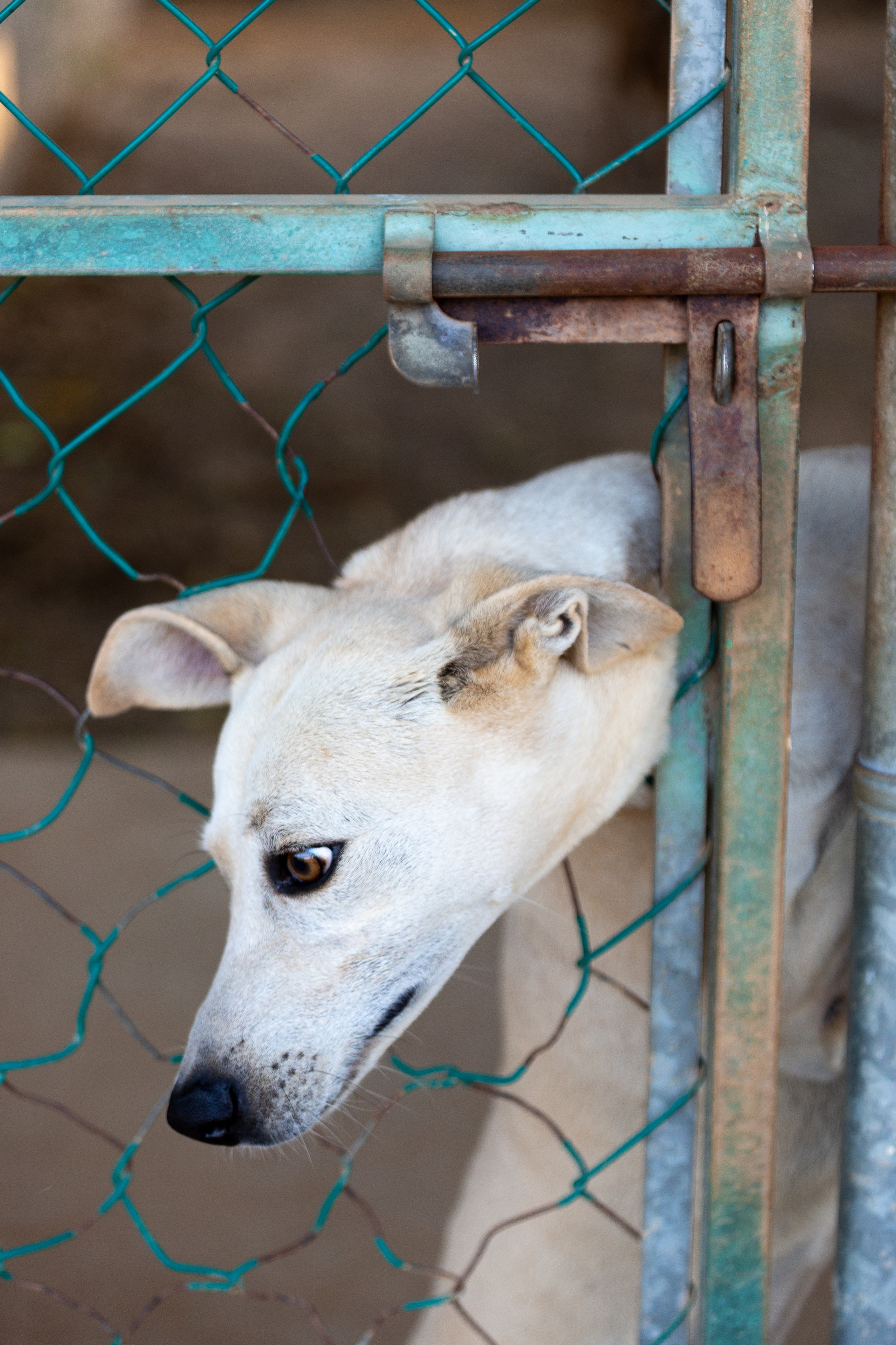Bella Vida. Photos by Vasilisa Popil