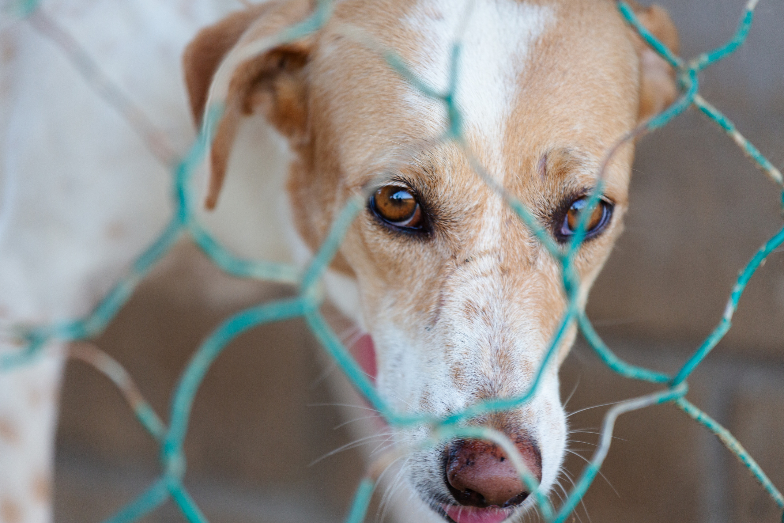 Bella Vida. Photos by Vasilisa Popil