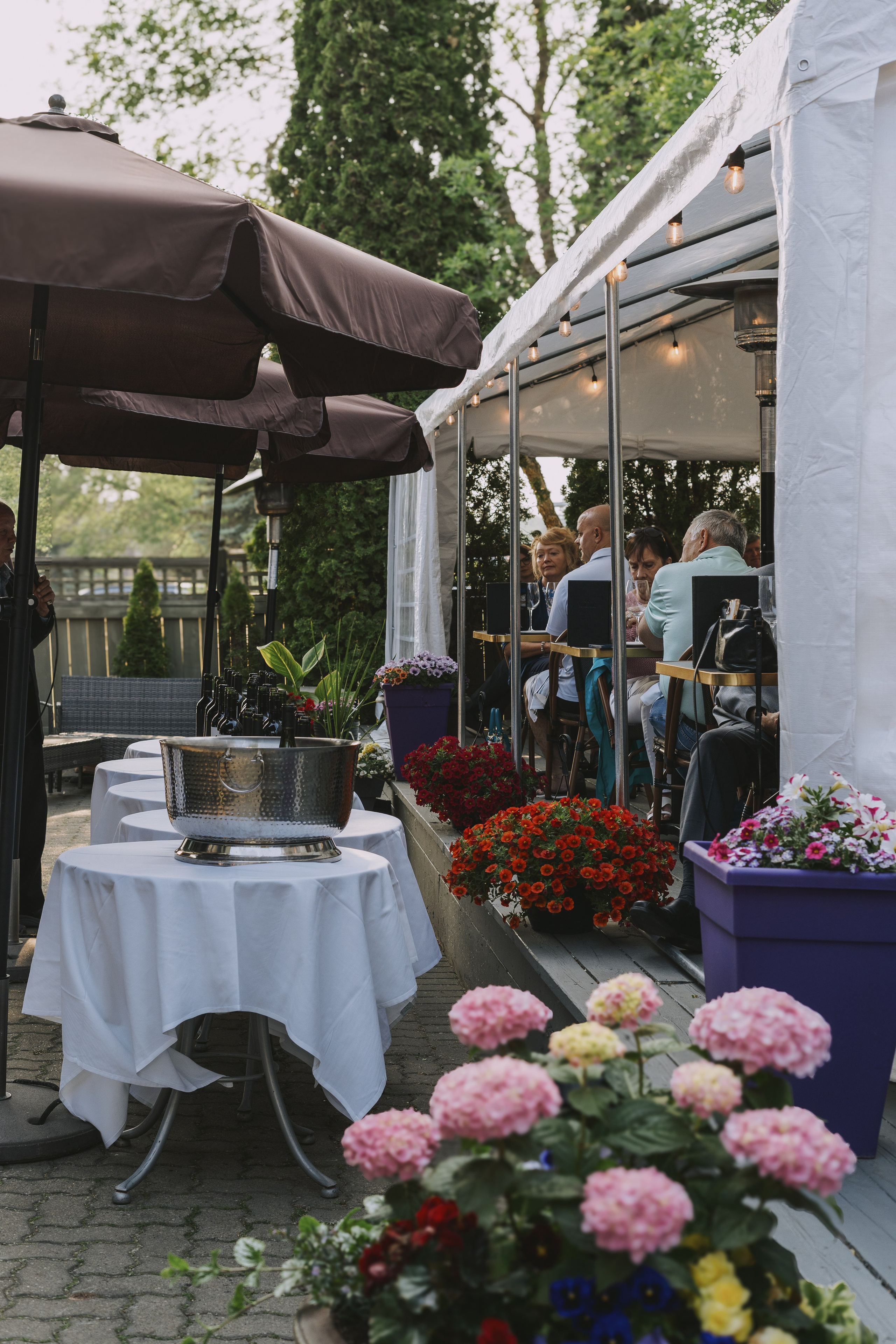 SRG. Photos by Vasilisa Popil